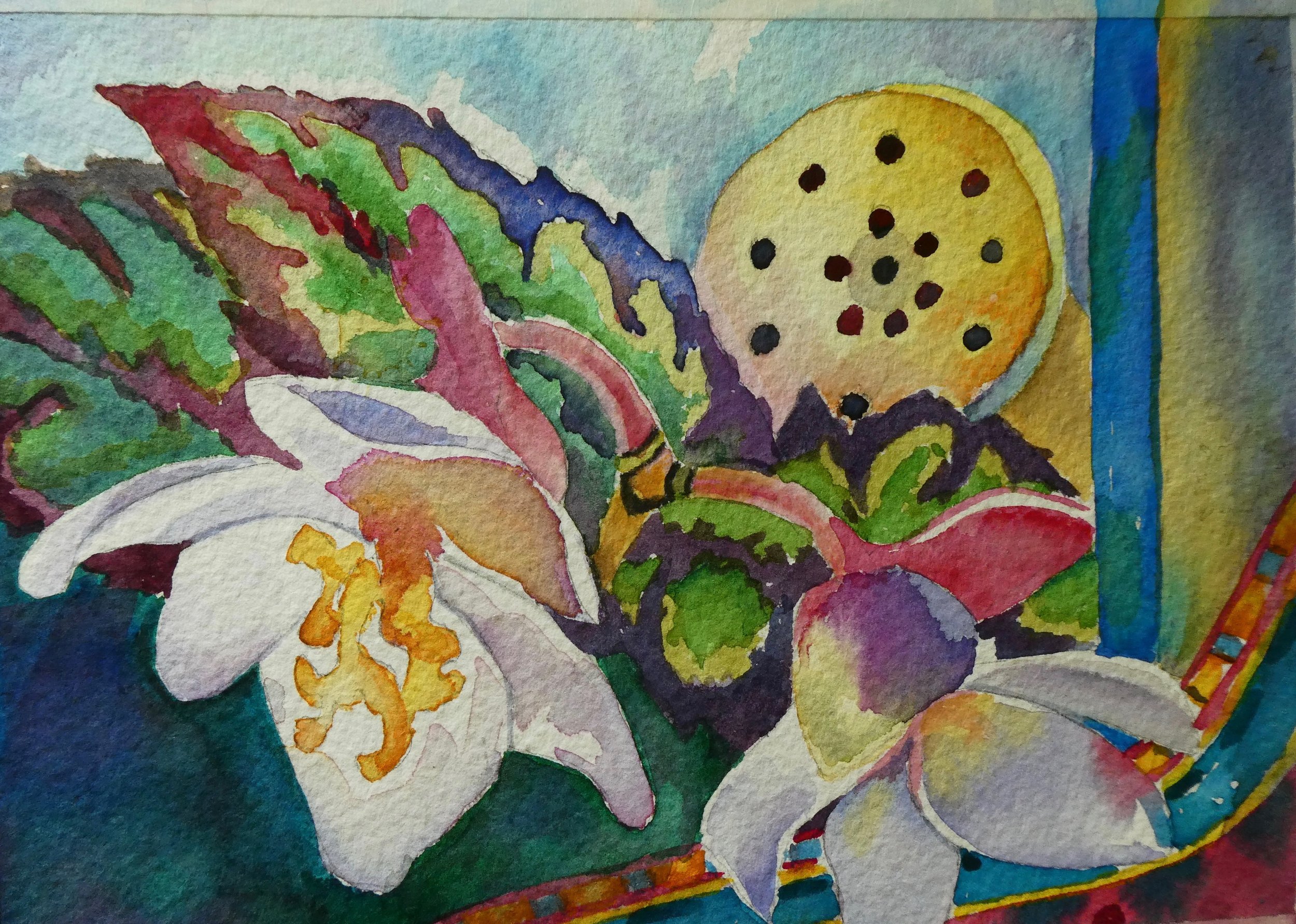 Colourful Begonias.jpeg