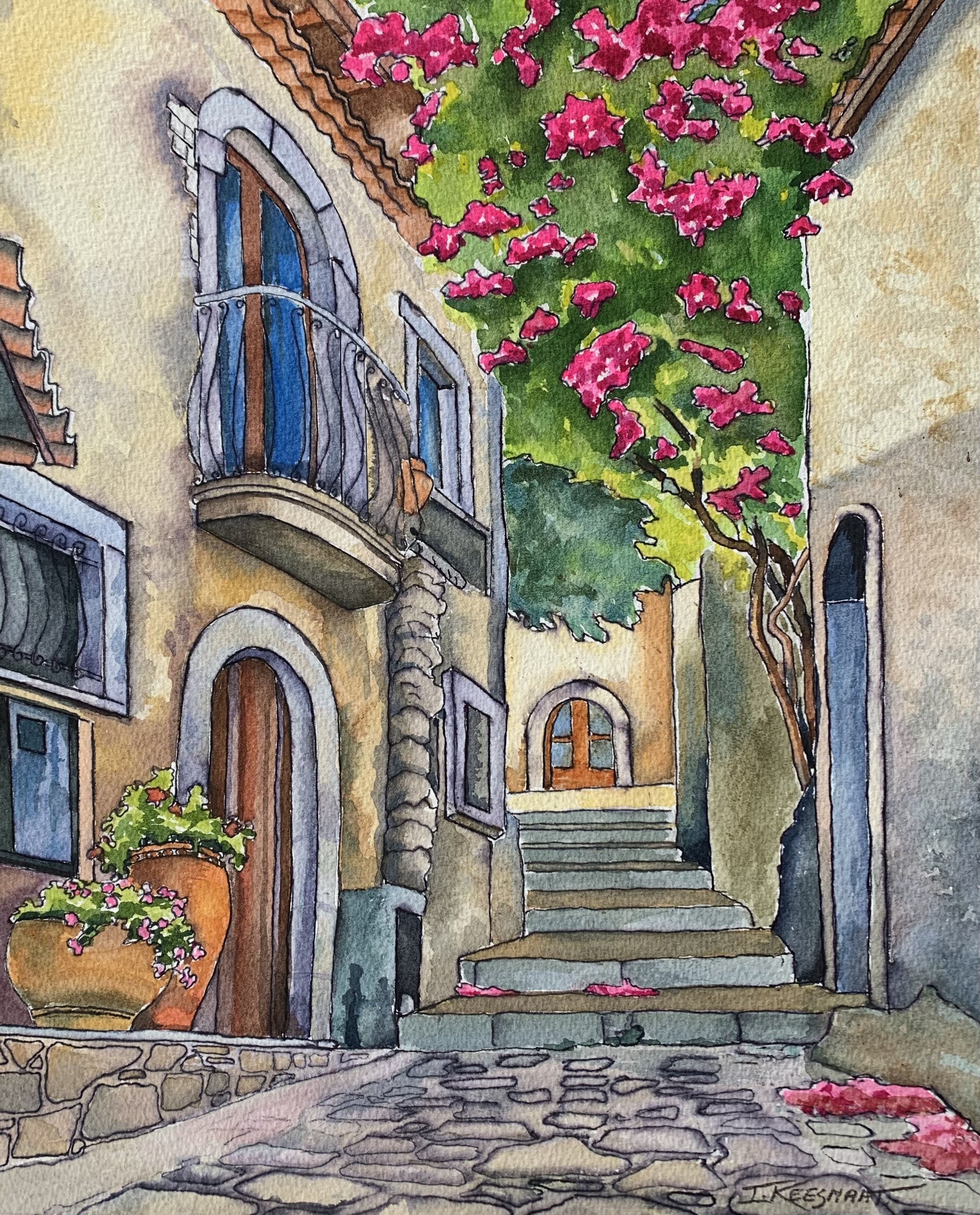 The Bougainvillea Street.jpeg