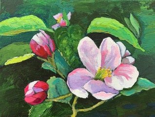 Apple Blossom.jpeg