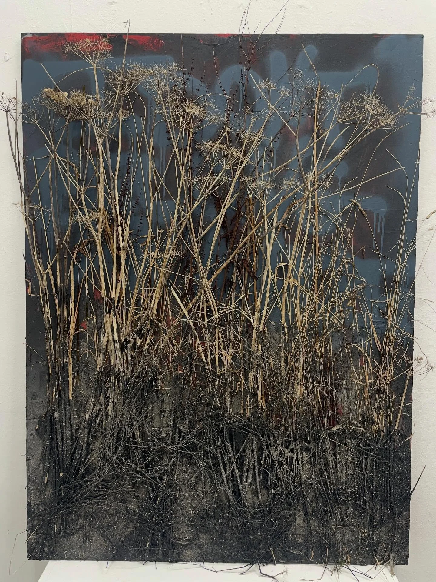 &ldquo;Overgrowth&rdquo; acrylic, spray paint, dead plants, gravel, dust and sand on wood board.
