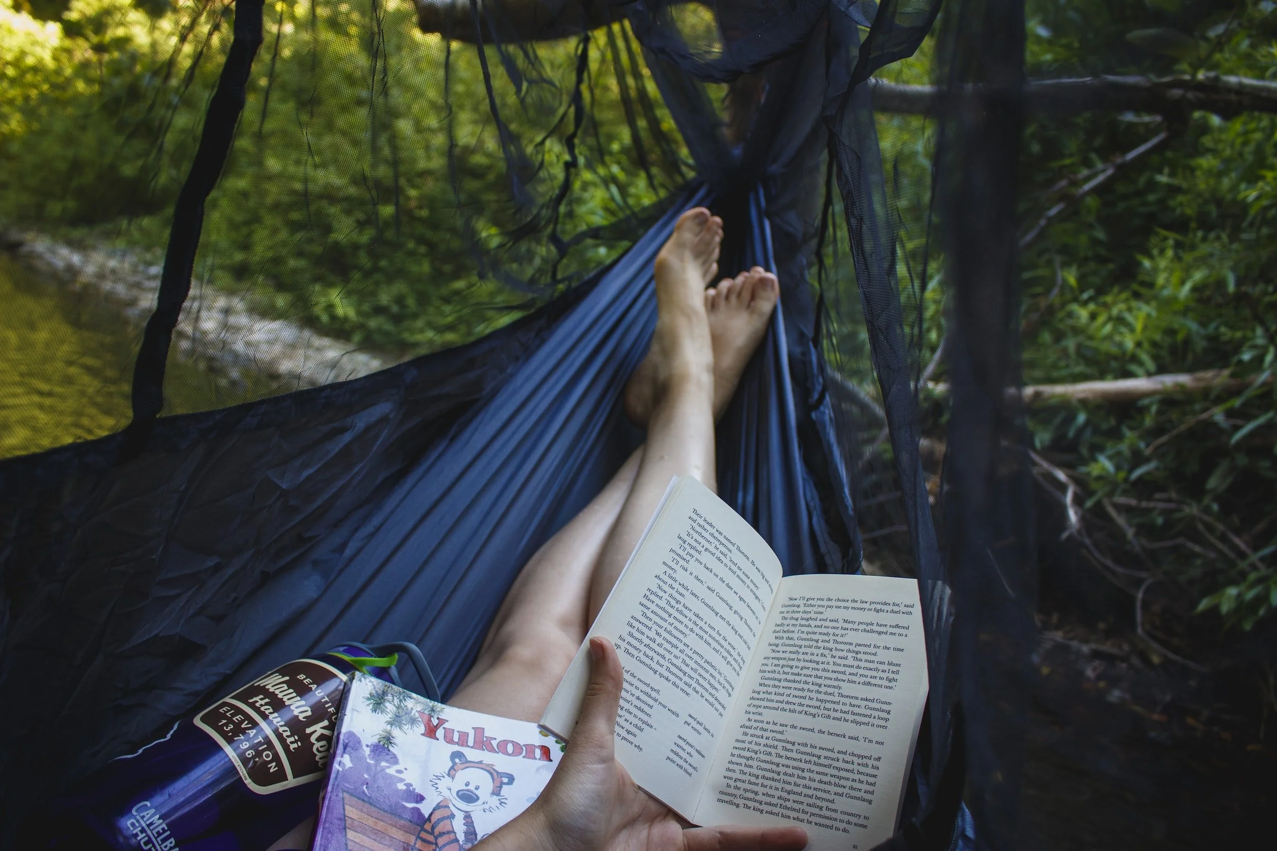 Nature Book Club at Lorrimer Sanctuary