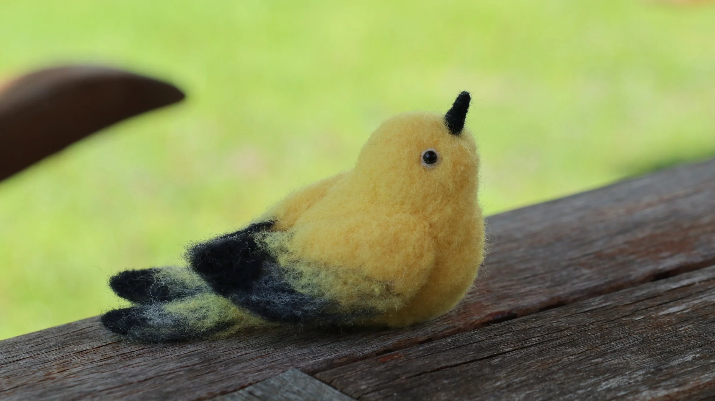 Adult Felting Class
