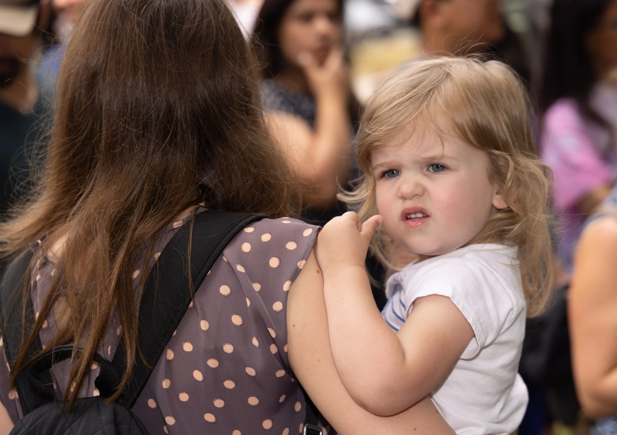 FL Library Celebration 2024-06-23-075.JPG