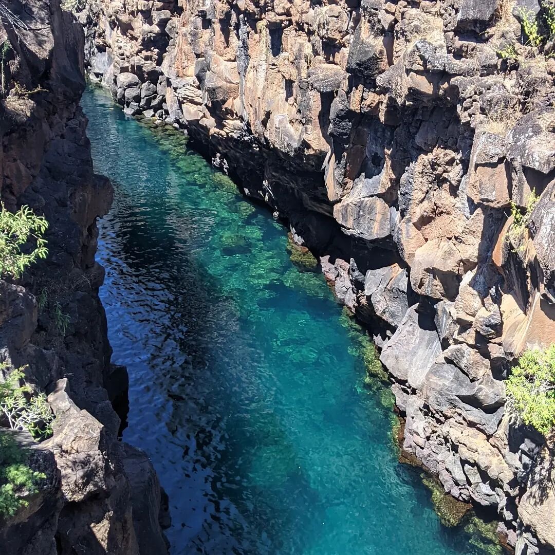 📍Las Grietas, Santa Cruz

Aguas cristalinas, el lugar perfecto para nadar y hacer snorkel.

&iquest;Este lugar est&aacute; dentro de los lugares que quieres visitar en Gal&aacute;pagos?
_______________________________

Cristal clear water, the perfe