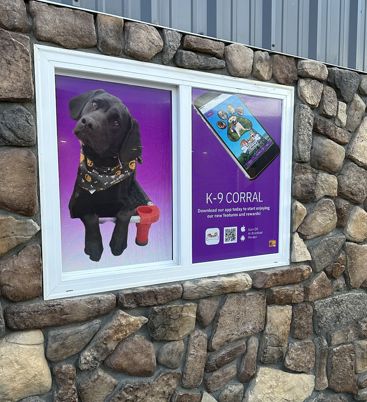 Window Advertisement