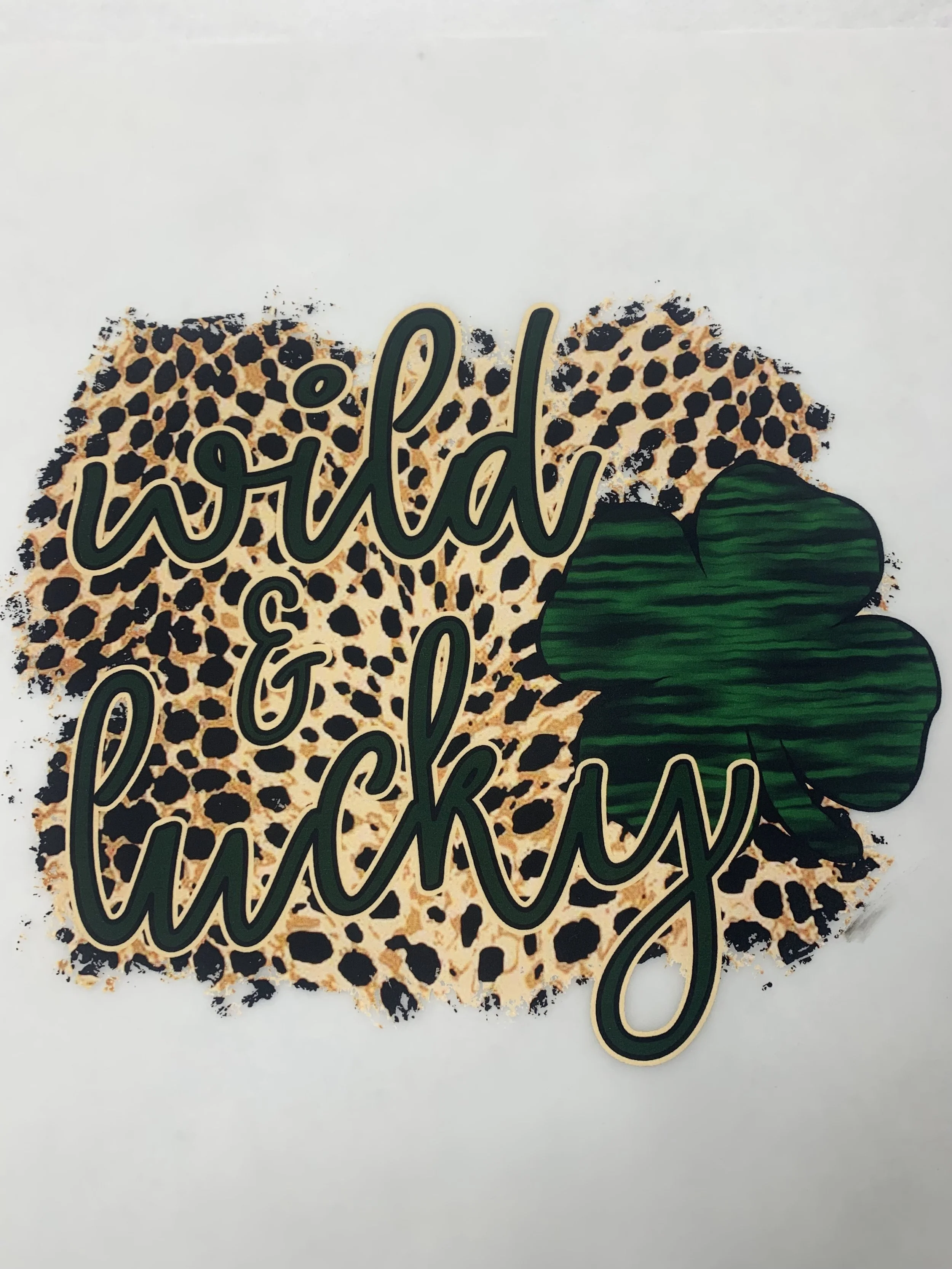 Photo Mar 08, 11 02 44 AM.jpg