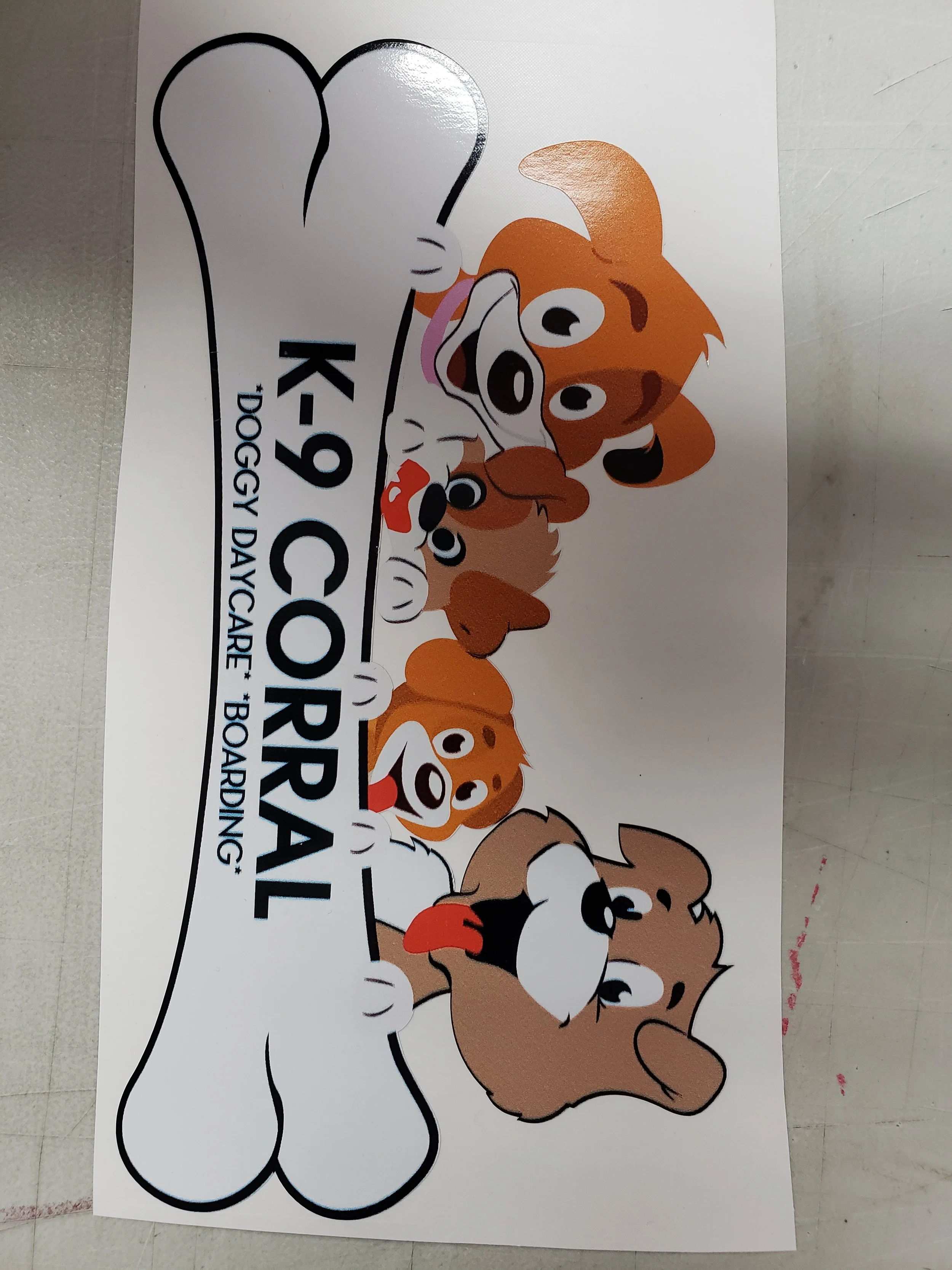 Photo Feb 13, 5 58 00 PM.jpg