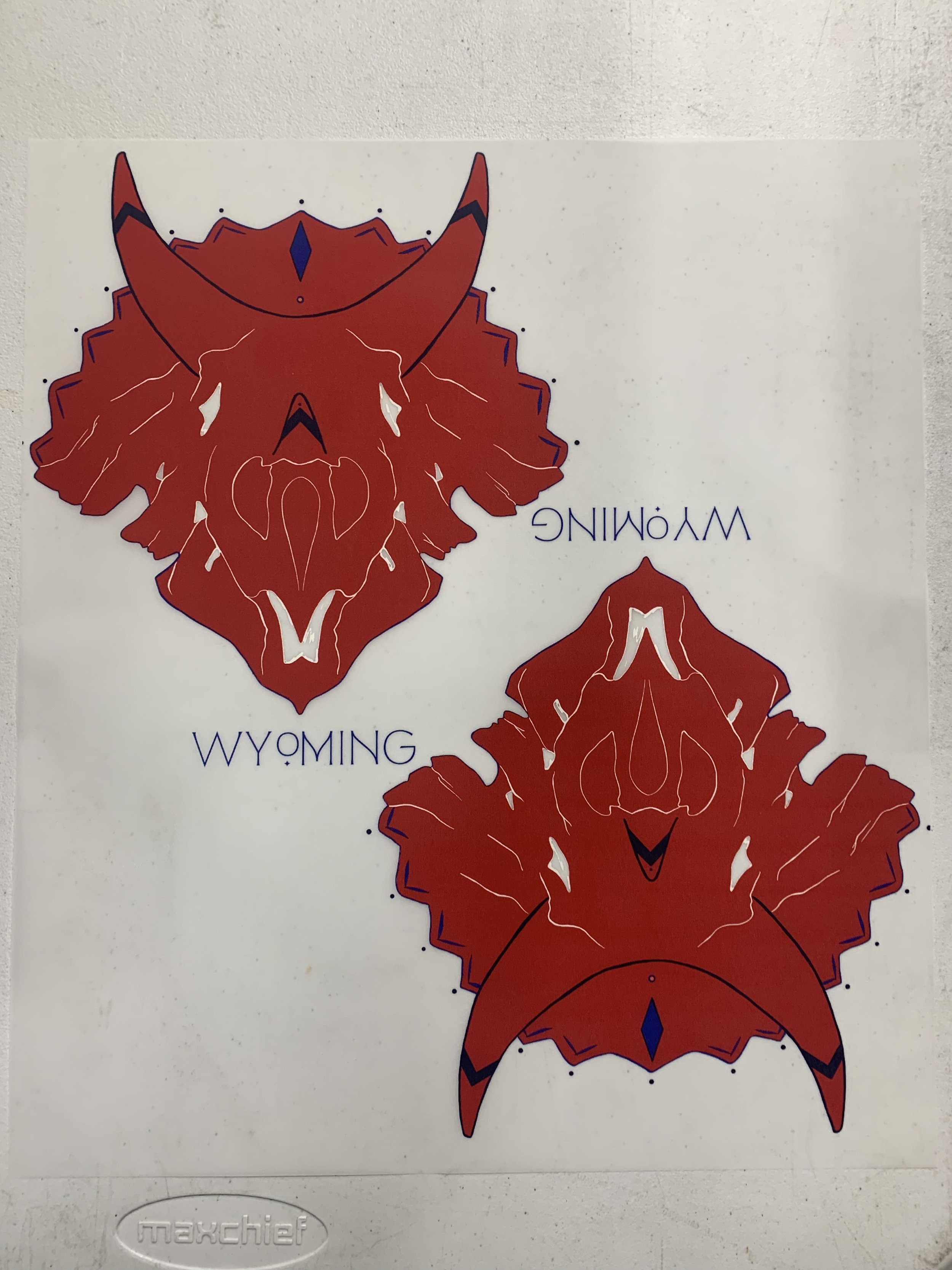 2022-04-05 18.25.59.jpg