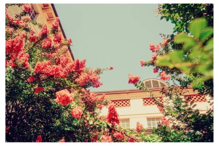 ZNA08466 (Small).jpg