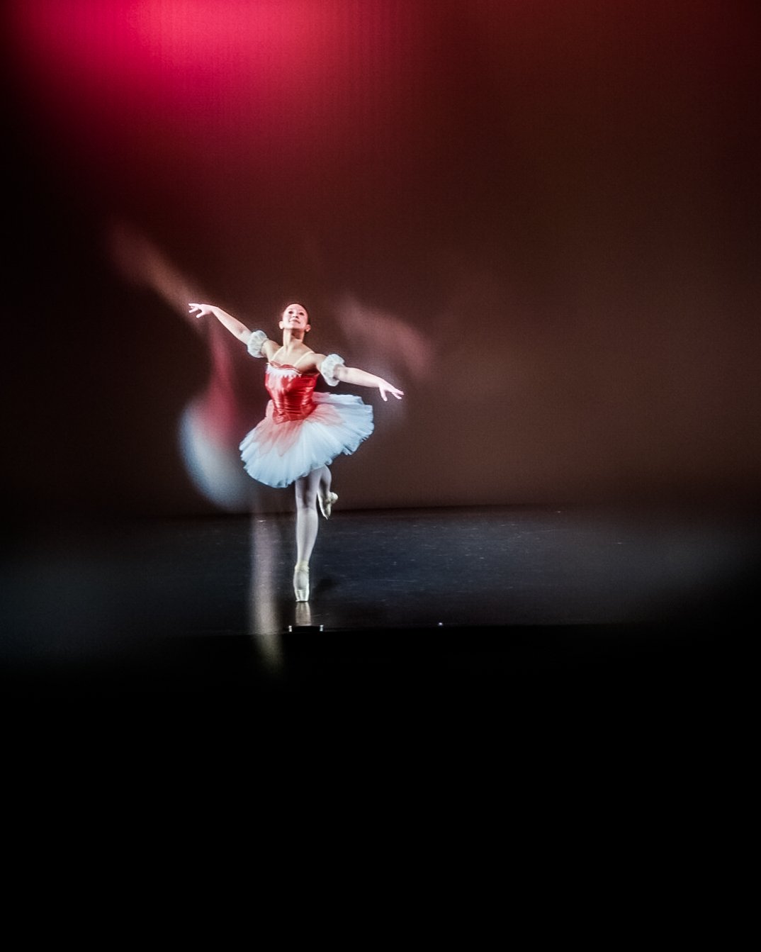 ZNA00771-2 - Copy - Copy.jpg