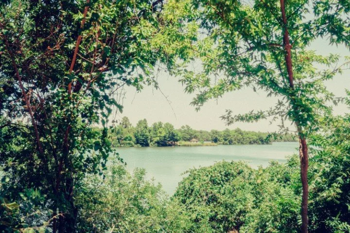 ZNA08476 (Small).jpg