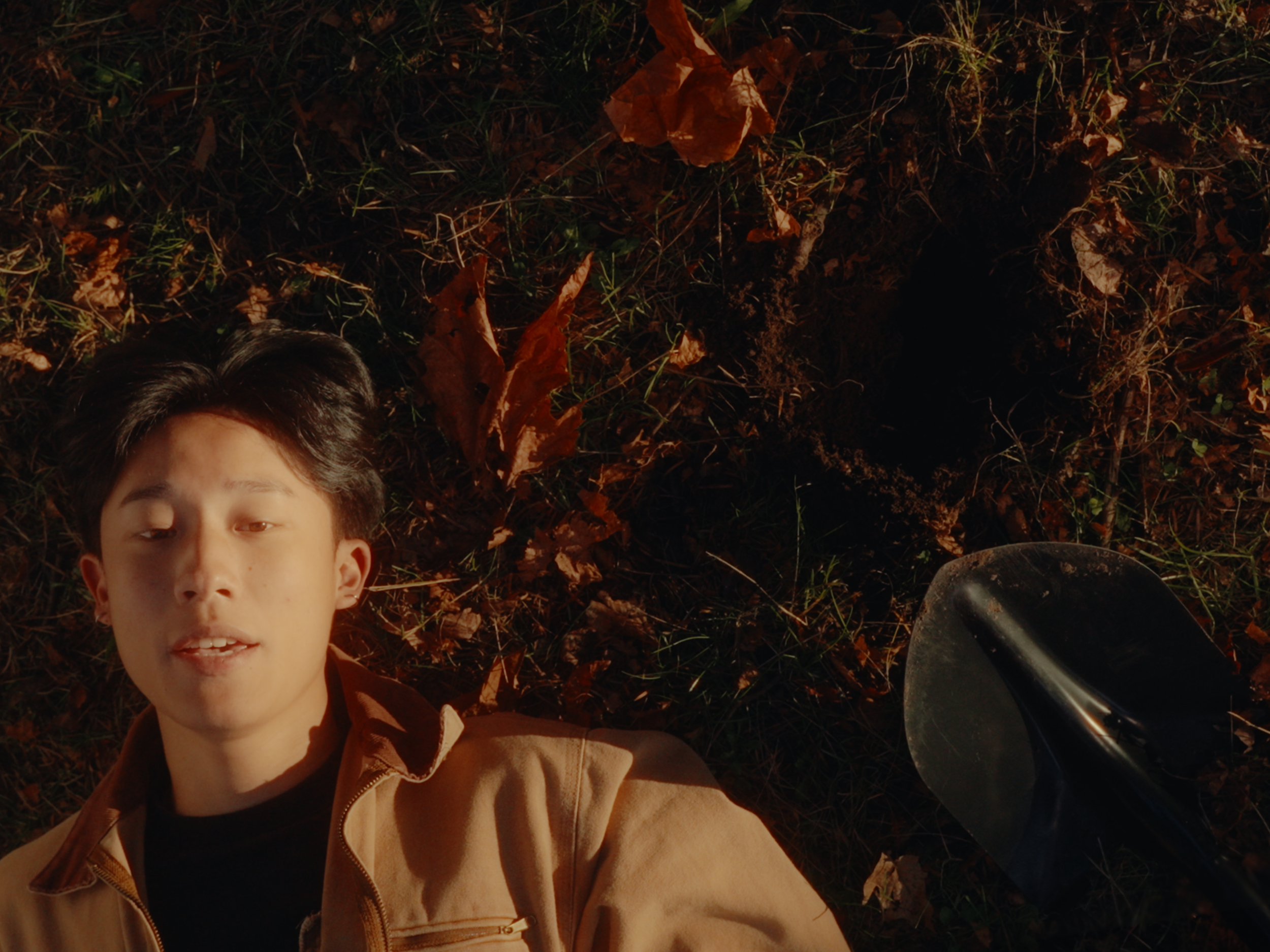 Linear Cut (davinci).00_00_58_17.Still018.png