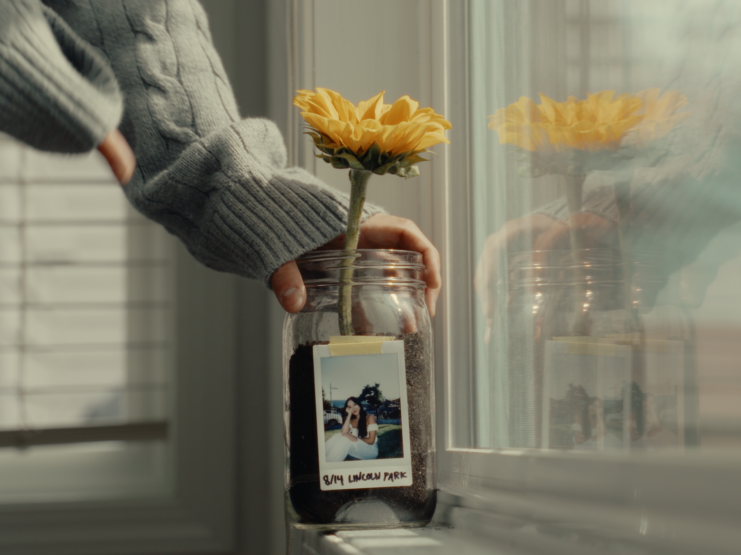 Linear Cut (davinci).00_00_41_10.Still016.png