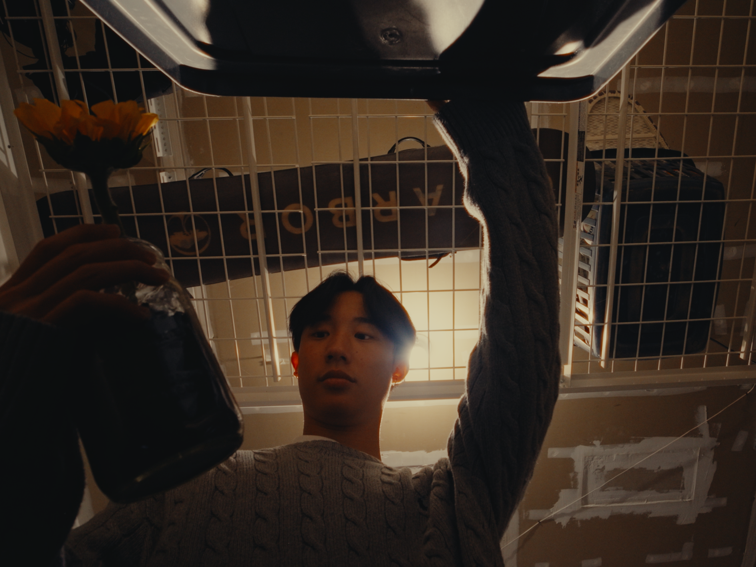 Linear Cut (davinci).00_01_47_13.Still020.png