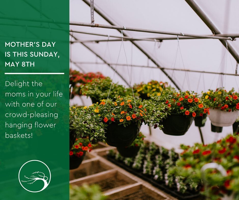 A reminder to all sons, husbands, boyfriends, and daughters: Mother's Day is this Sunday, May 8th! 

Come shop with us for a gift the mom in your life is sure to love! We're open Mon-Sat from 8am-5pm, so make sure you stop by and get your shopping in