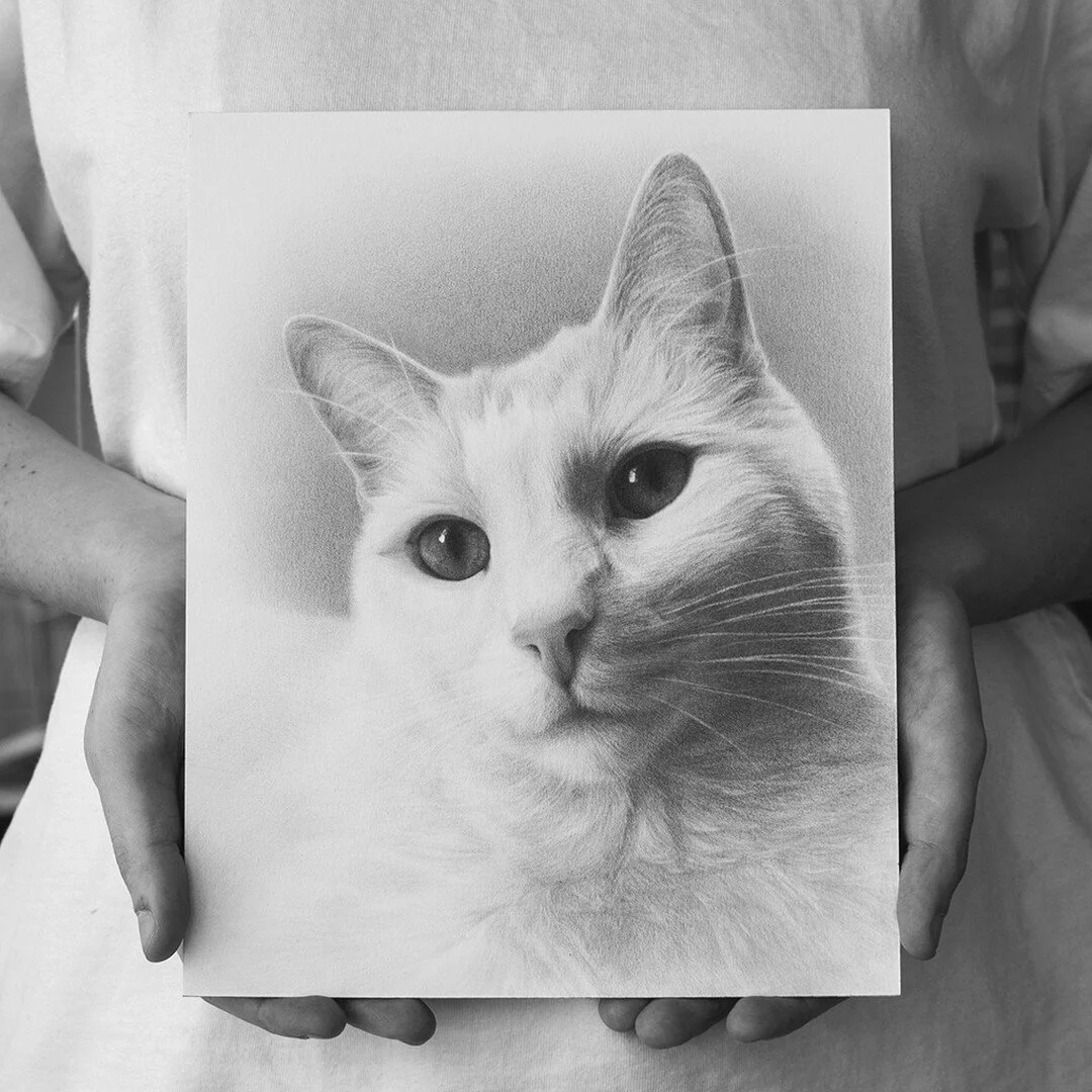 So happy to share the finished drawing of the beautiful Loc, completed for a local client here in New Orleans.

Loc or &quot;Loki&quot; is a fourteen years young cat, who started his life out as a stray kitten in California. He was gifted to his new 