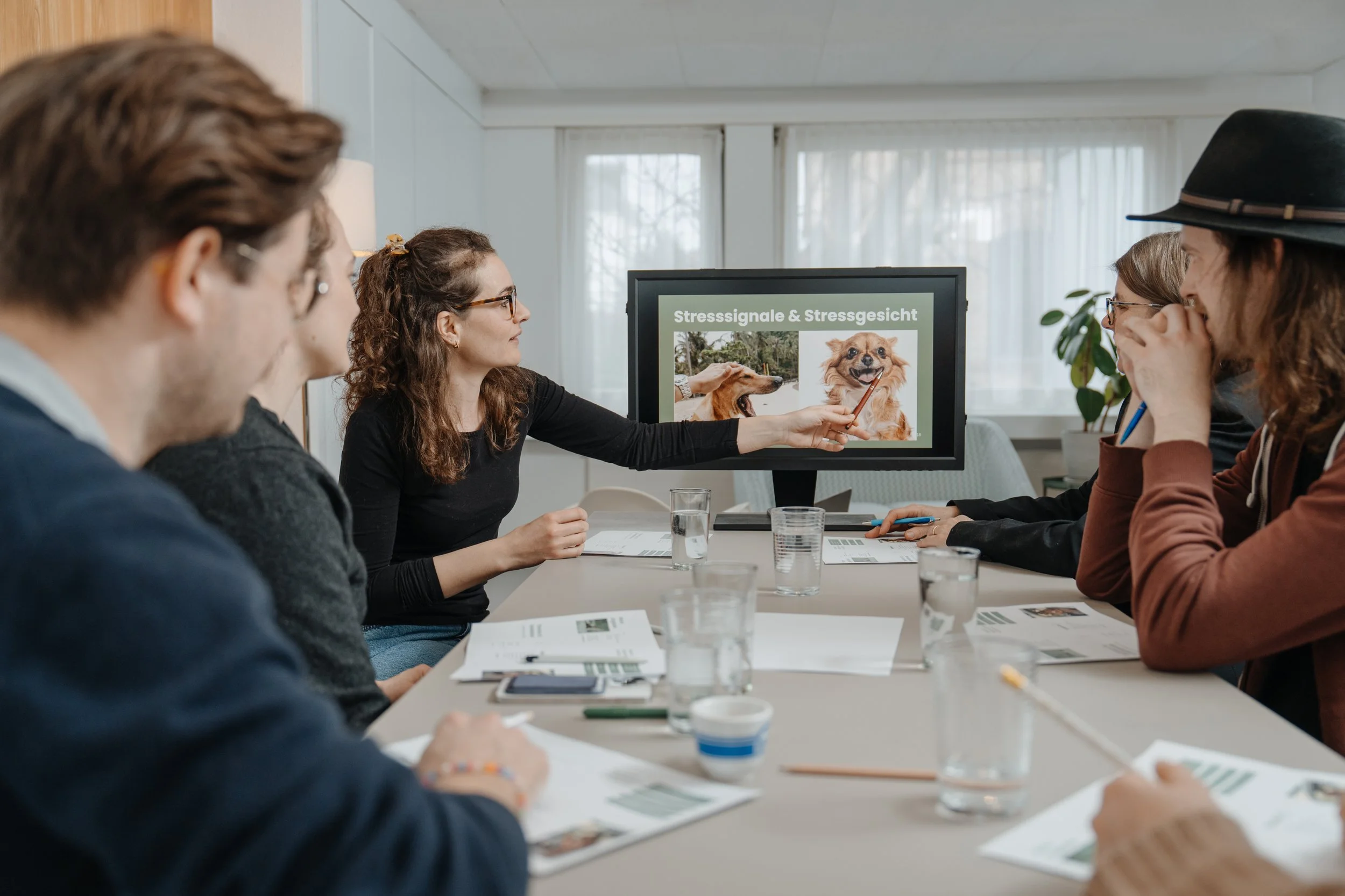 Kursteilnehmer:innen, die der Präsentation des obligatorischen Hundekurses teilnehmen und über Stresssignale bei Hunden lernen.