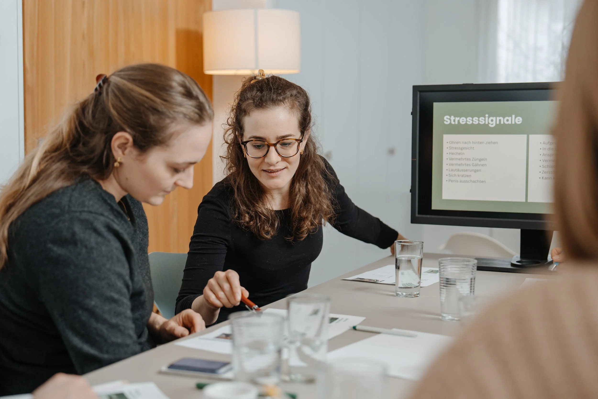 Talina Caviezel erklärt einer Teilnehmerin die Stresssignale, während die anderen zuhören und Notizen machen.