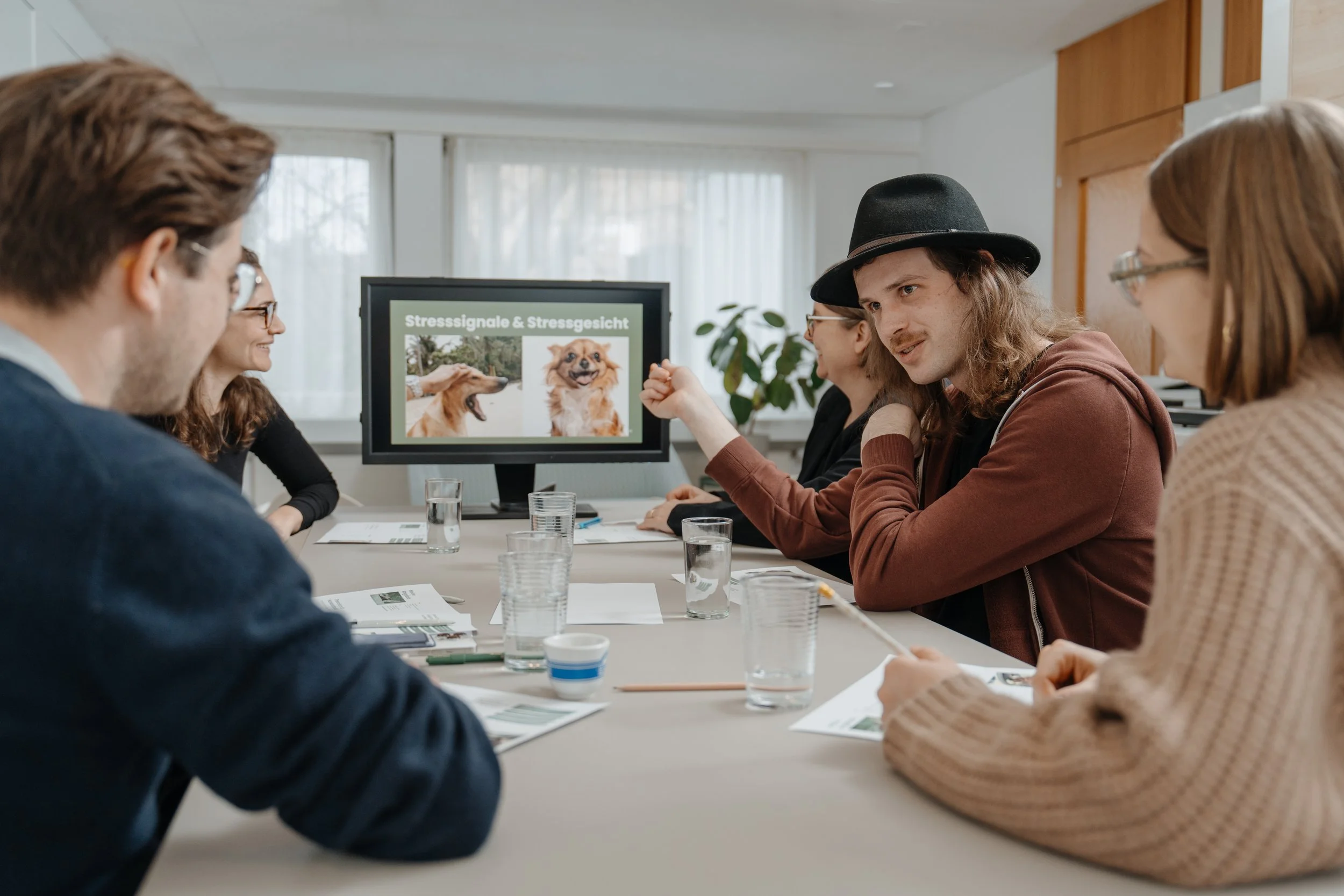 Teilnehmer:innen des Theoriekurses sitzen um einen Tisch, vor einem Bildschirm, der Bilder von Hunden und Stresssignalen zeigt.