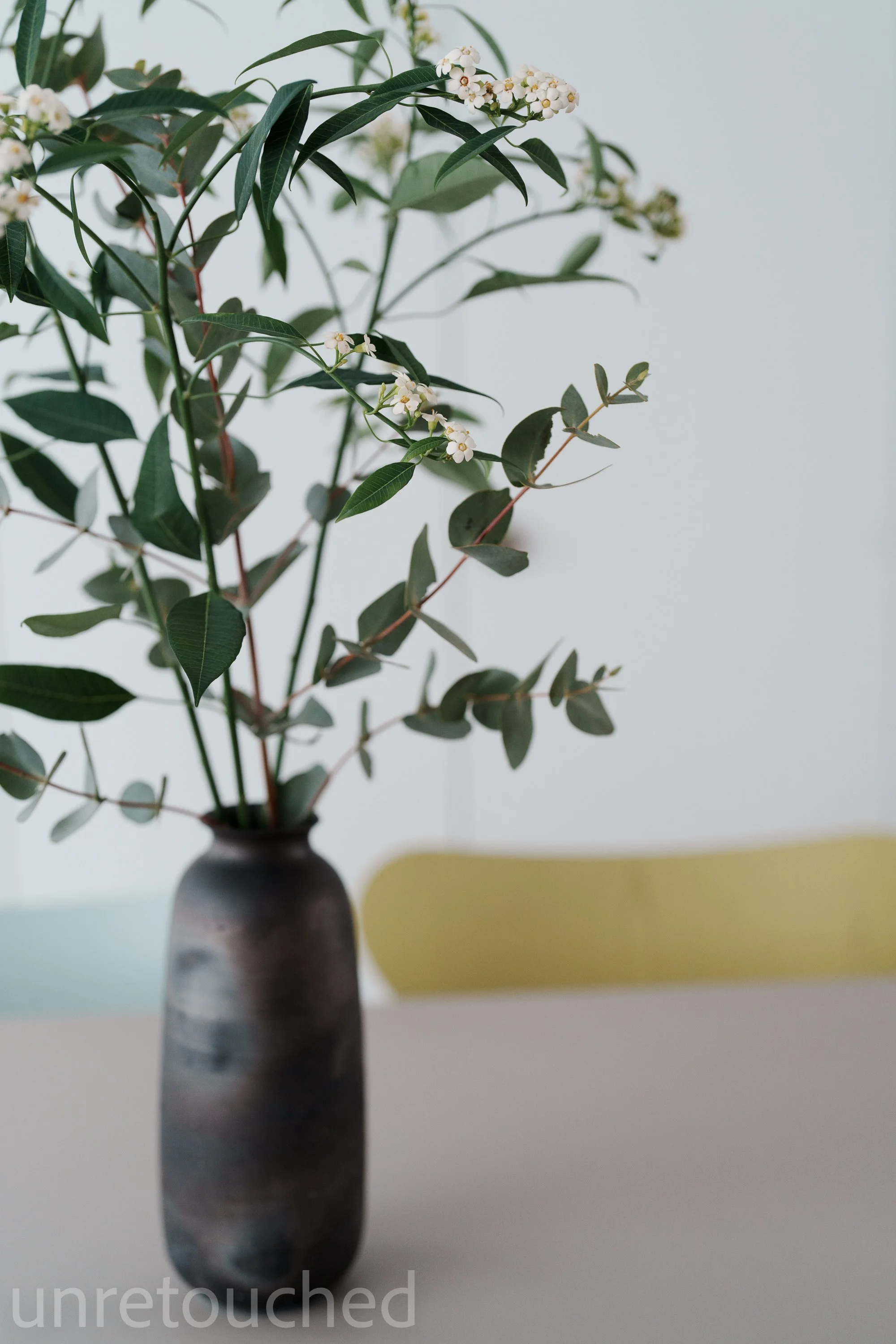 Grüne Blätter mit kleinen weissen Blüten in einer dunklen Vase auf einem Tisch, im Hintergrund eine gelbe Stuhllehne.