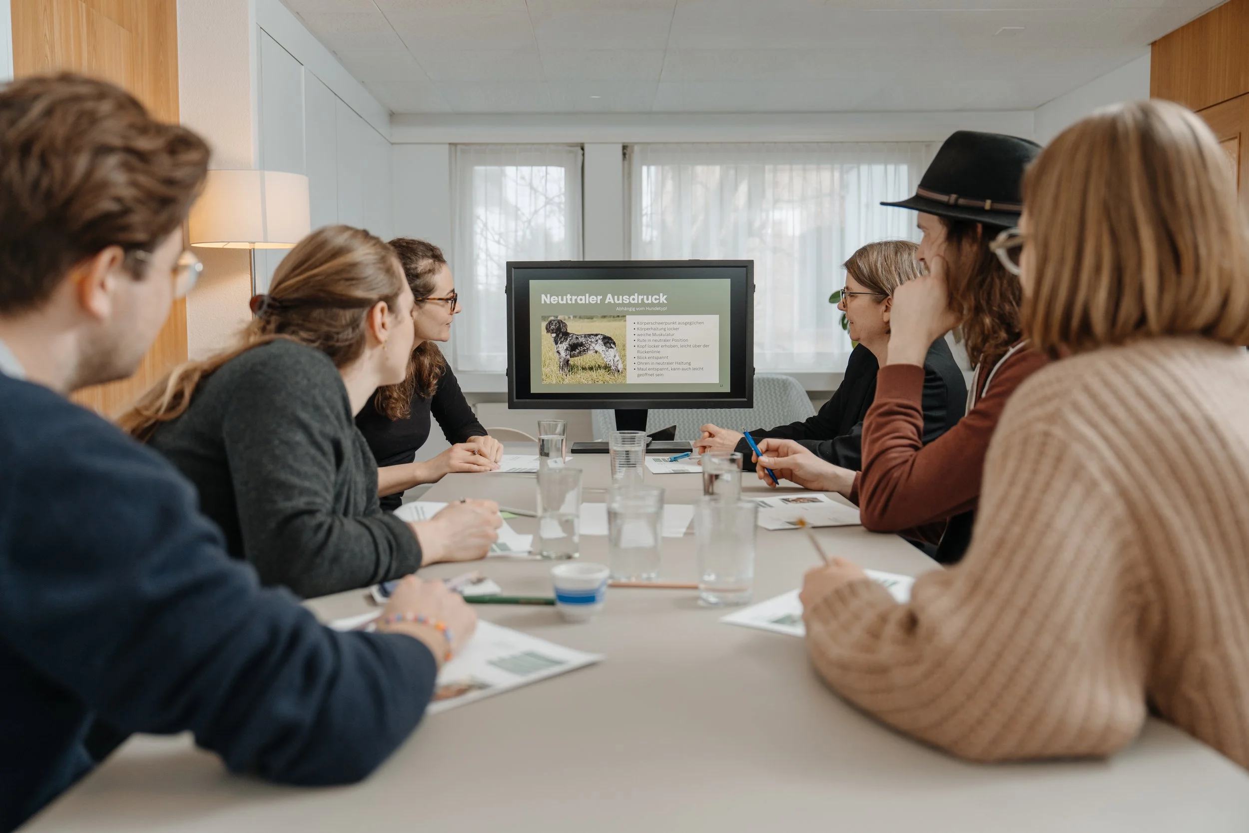 Die Kursteilnehmenden sitzen um einen Tisch, während eine Präsentation auf einem Bildschirm über einen Hund mit neutralem Ausdruck gezeigt wird.