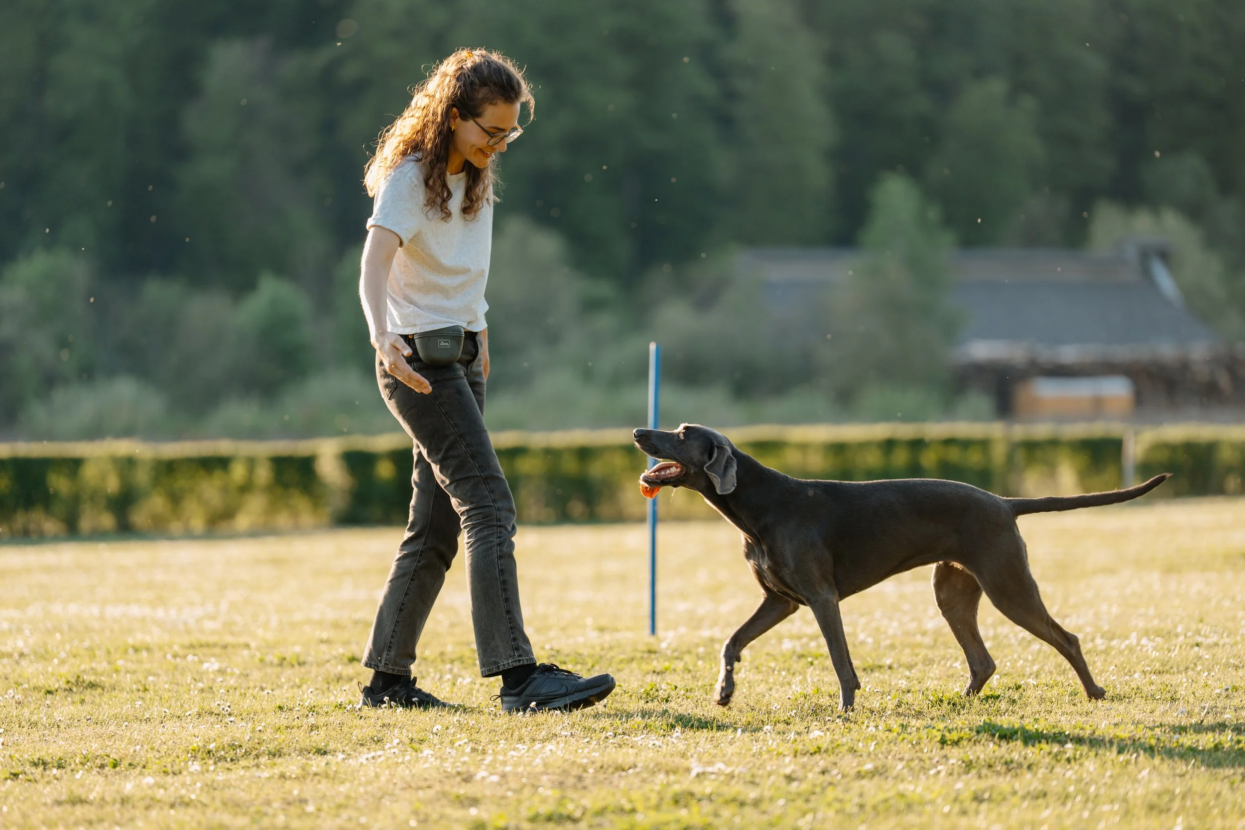 Talina Caviezel mit einer Weimaranerhündin beim Hundetraining im Freien, der Hund kommt fröhlich auf sie zu.