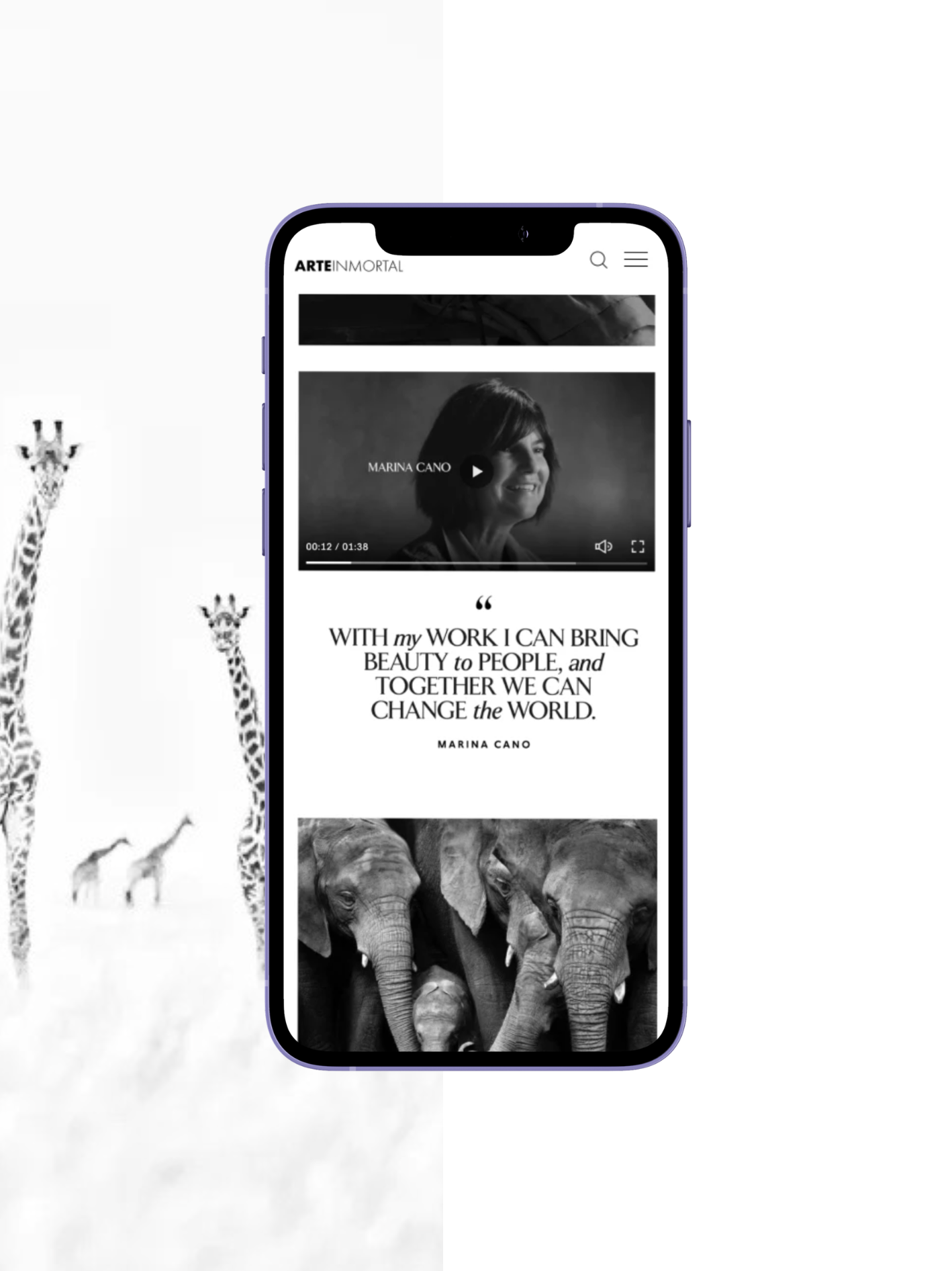 Arte Inmortal website on mobile