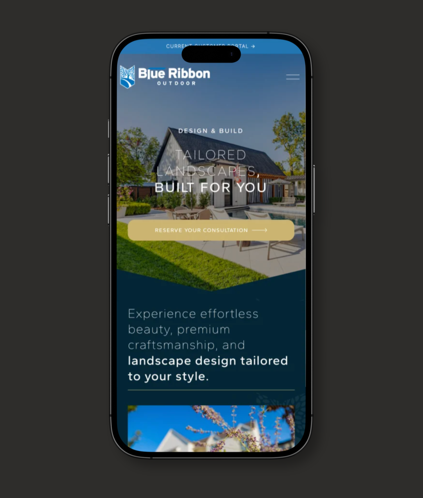 Blue Ribbon services page on mobile