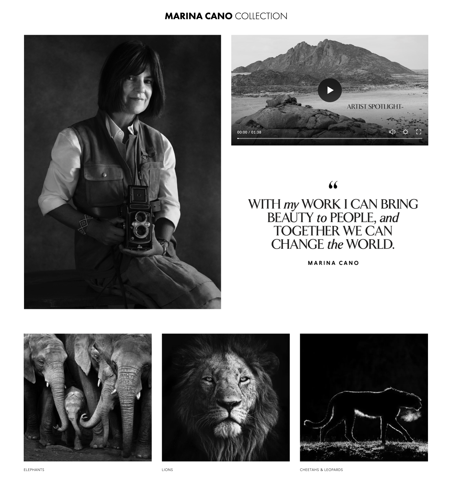 Artists collection profile on Arte Inmortal