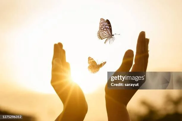 gettyimages-1275296312-612x612.jpg