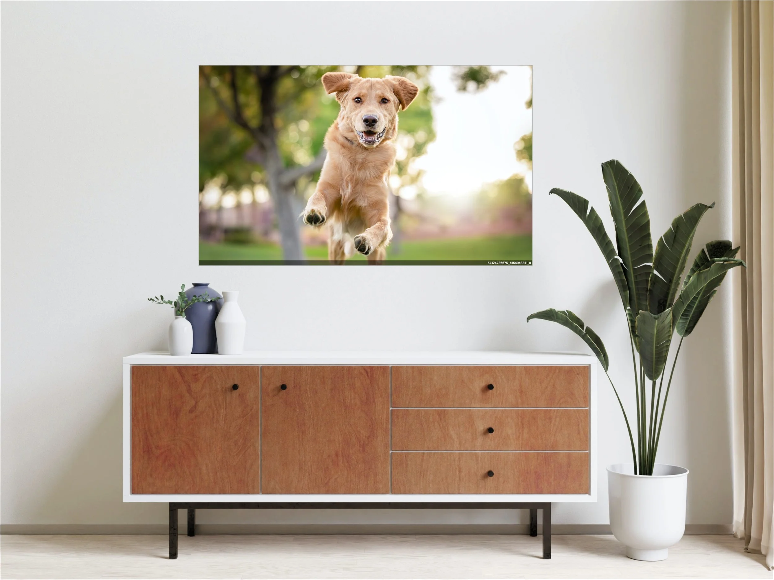 Metal Wall Art hanging on a wall with image of jumping golden retreiver