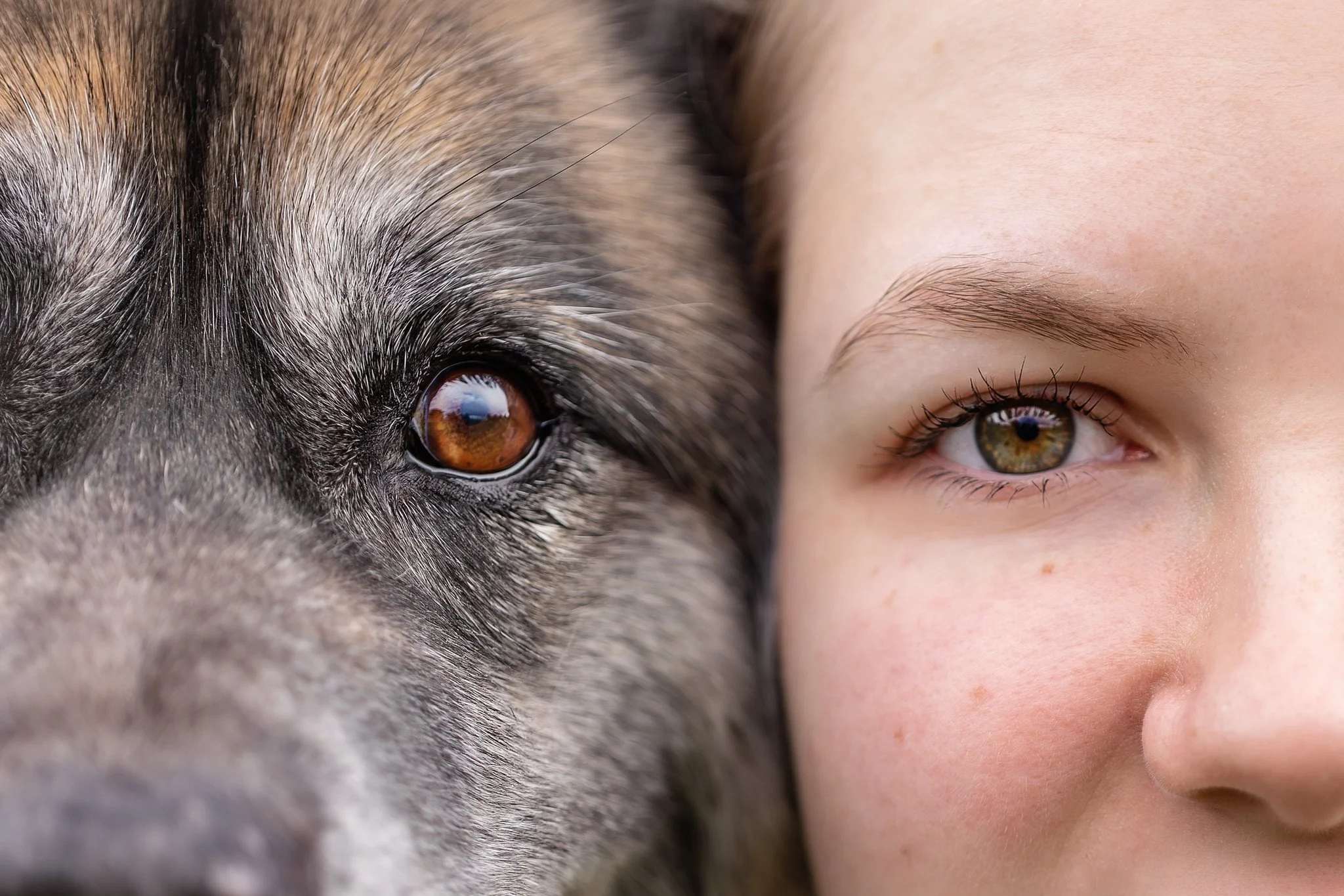 Close up detail shot of a girl and dog, side by side of just their eyes