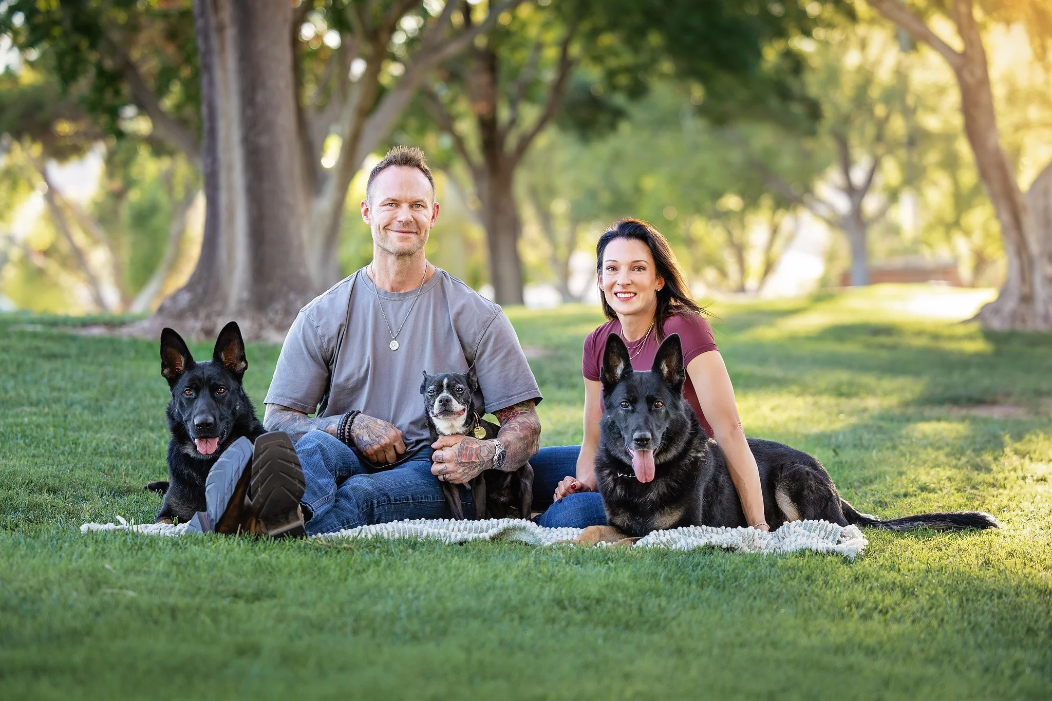 family sitting together with trio of black dogs in the park