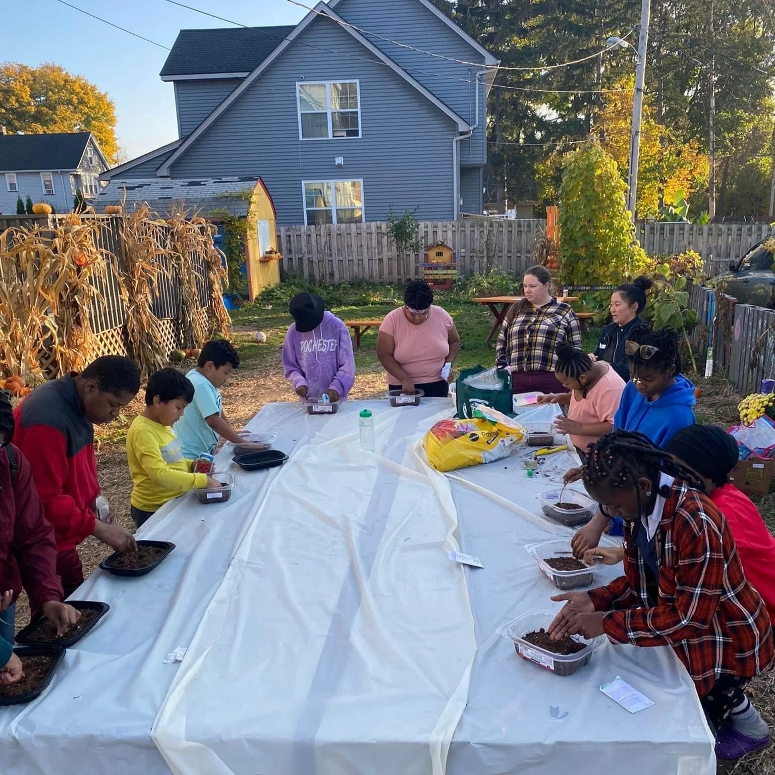 Gardening at the table