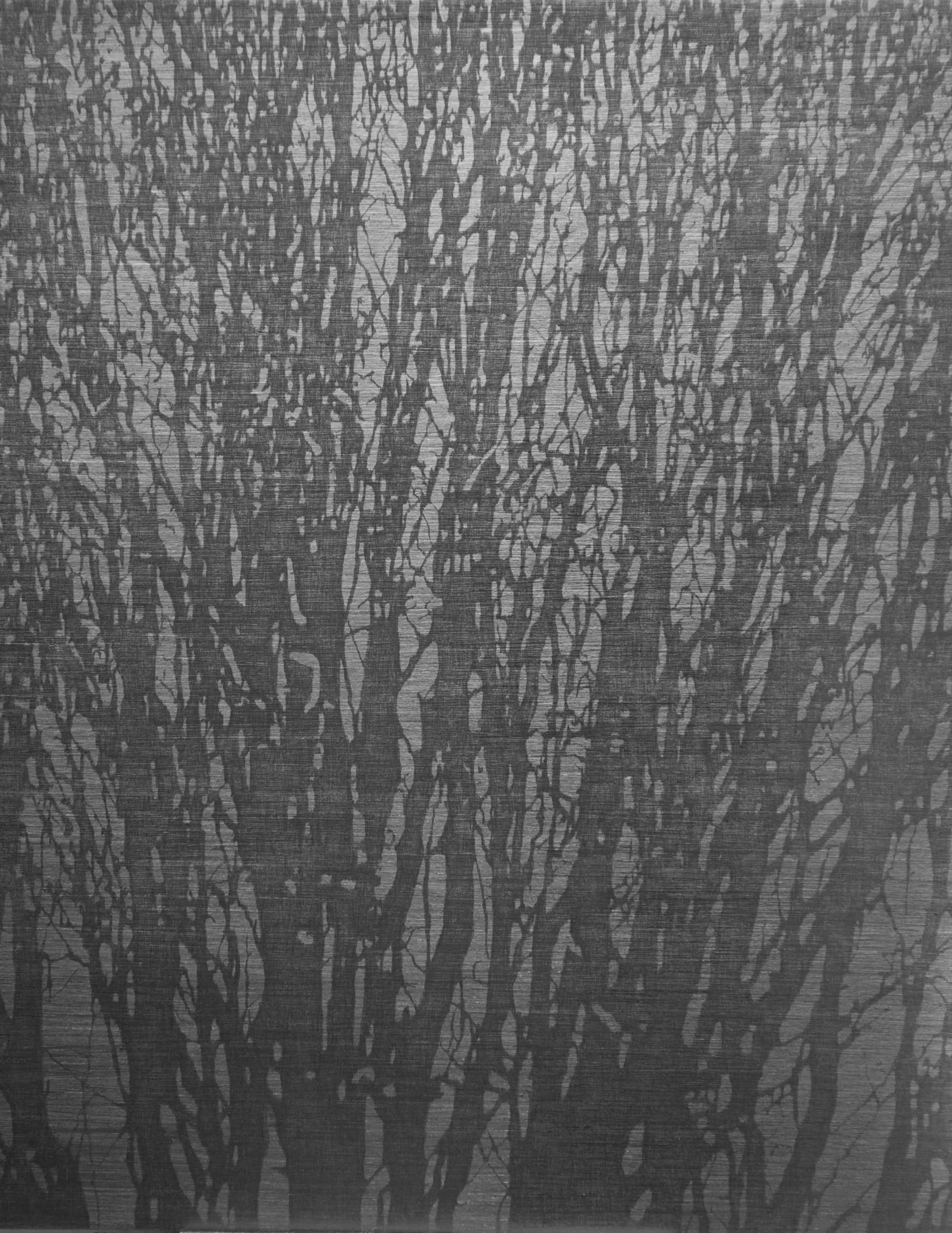 Dark Wood