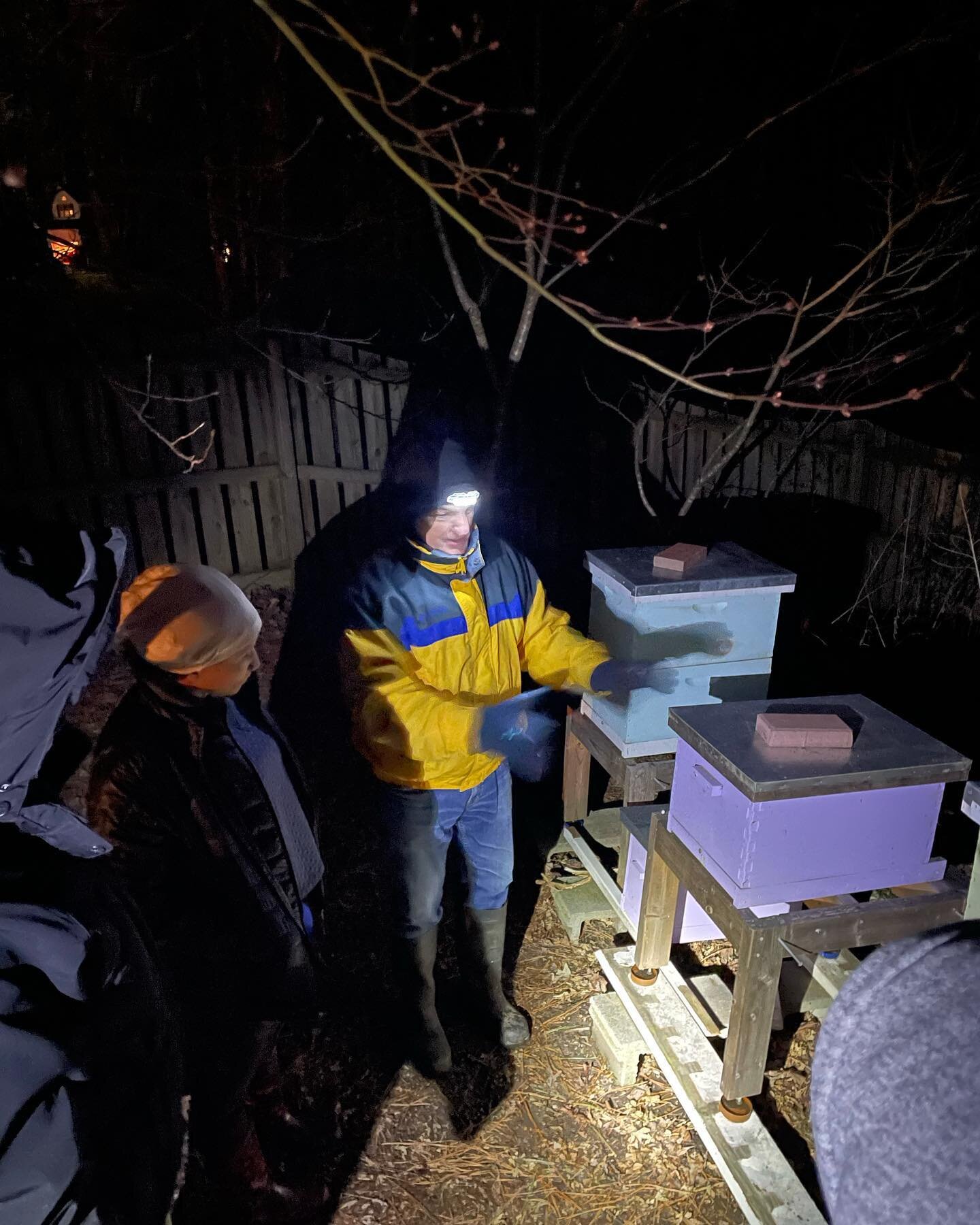 We remember the evening that we took delivery of our colony like it was yesterday. 

Here are a few photos of us transporting our &ldquo;Magna Carta&rdquo; hive to our Apiary. 

Thank you to all of the Beekeepers who were a part of the journey from t