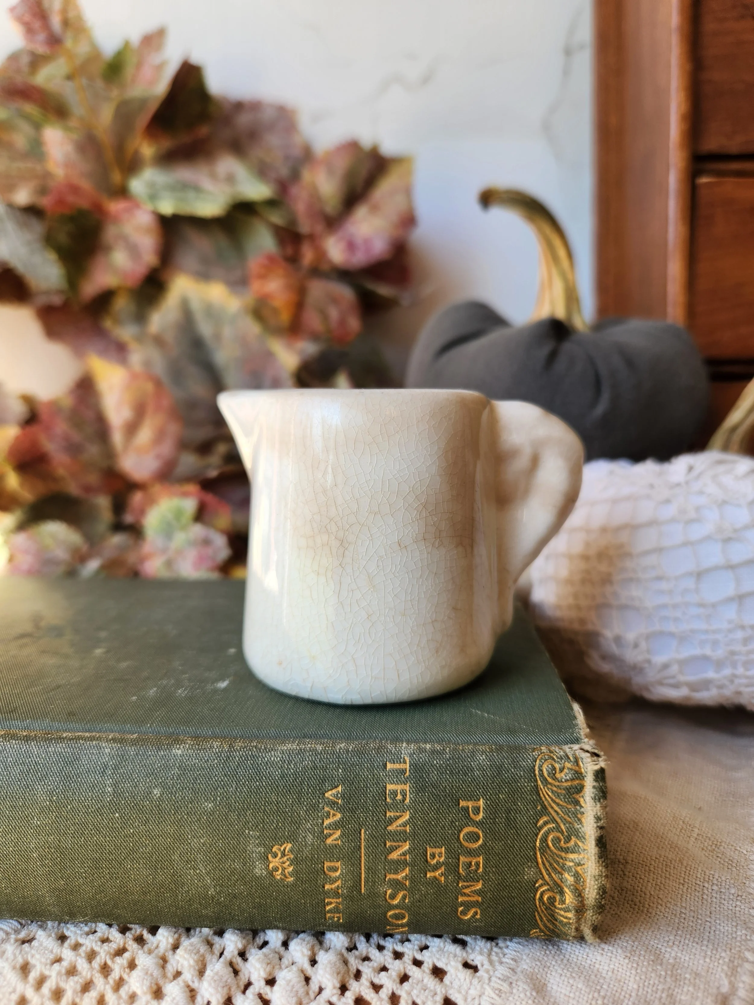 Rare Elephant Ear Antique Ironstone creamer