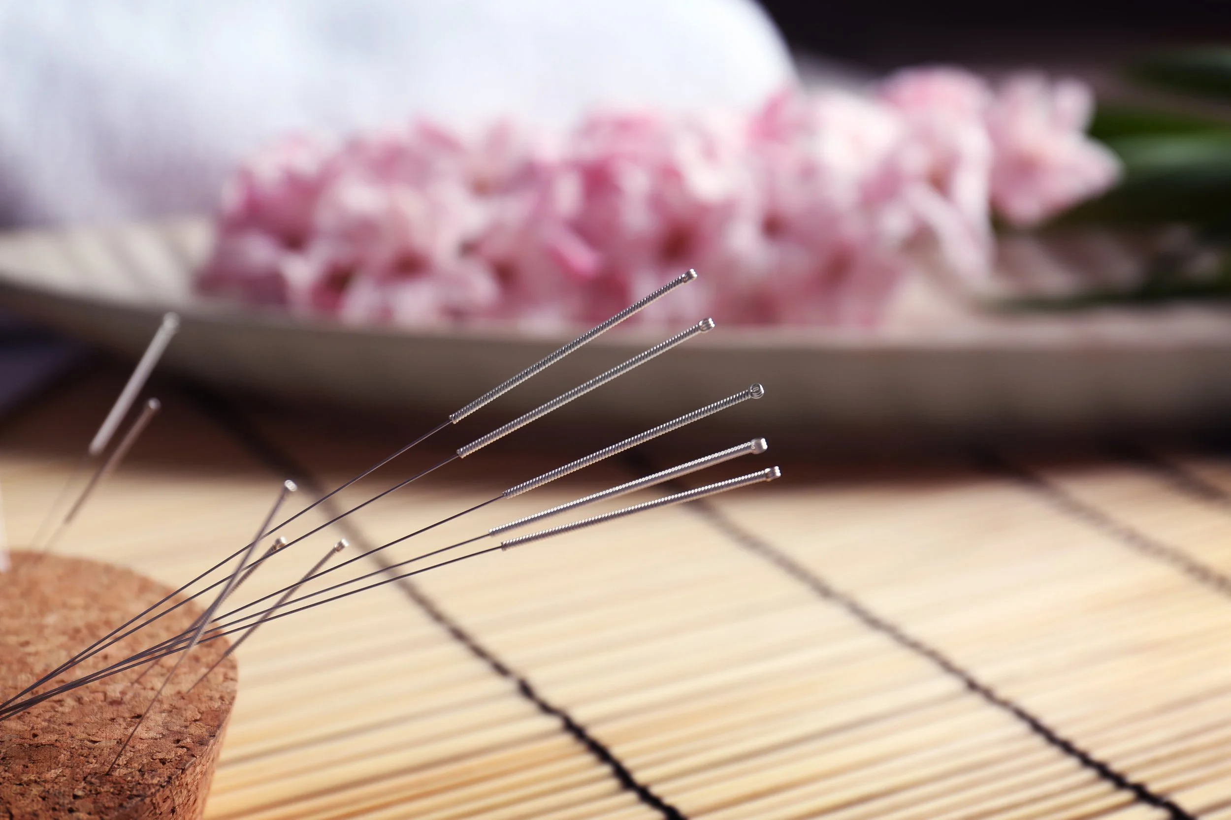 Seven Star Wellness Acupuncture and Chinese medicine Clinic