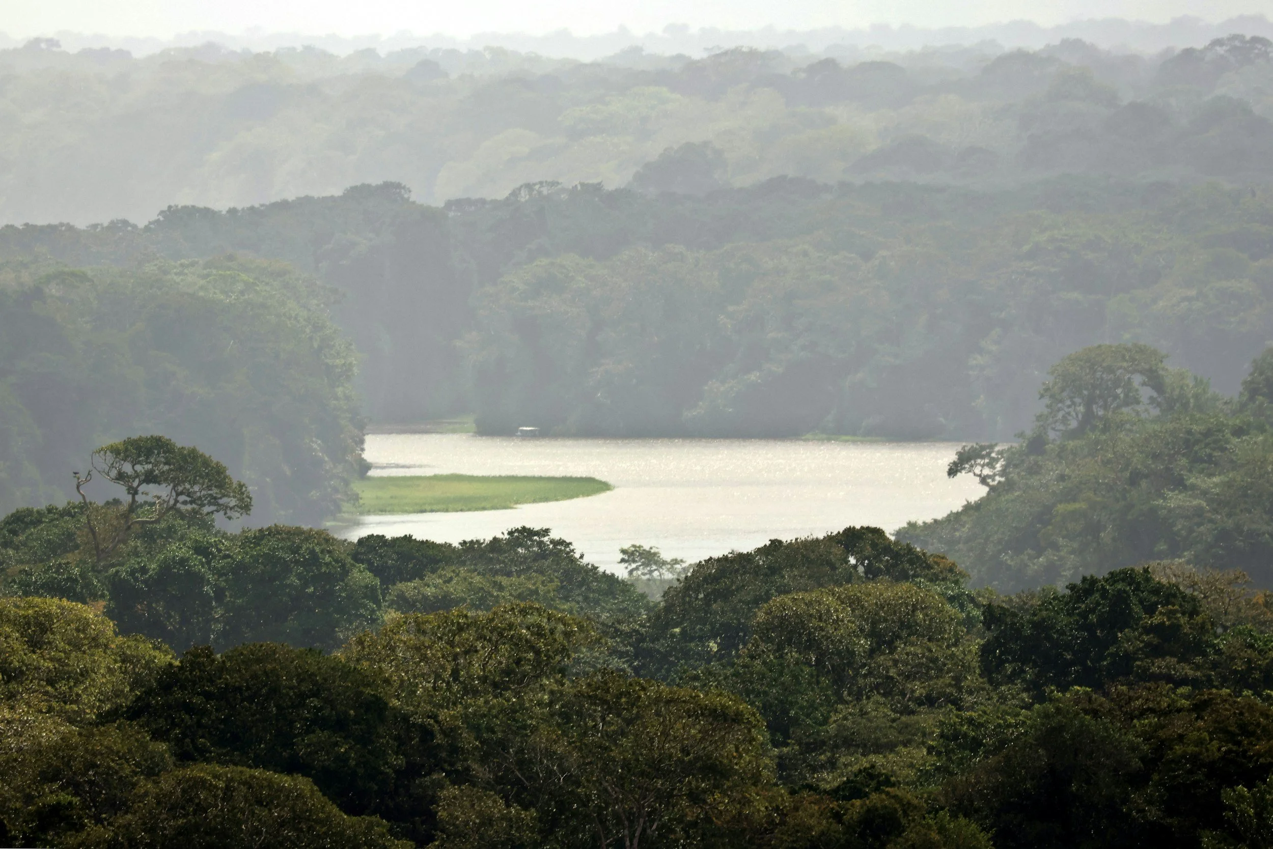 The raw jungle of Tortuguero and the banana transport canals are perfect for Kayaking.