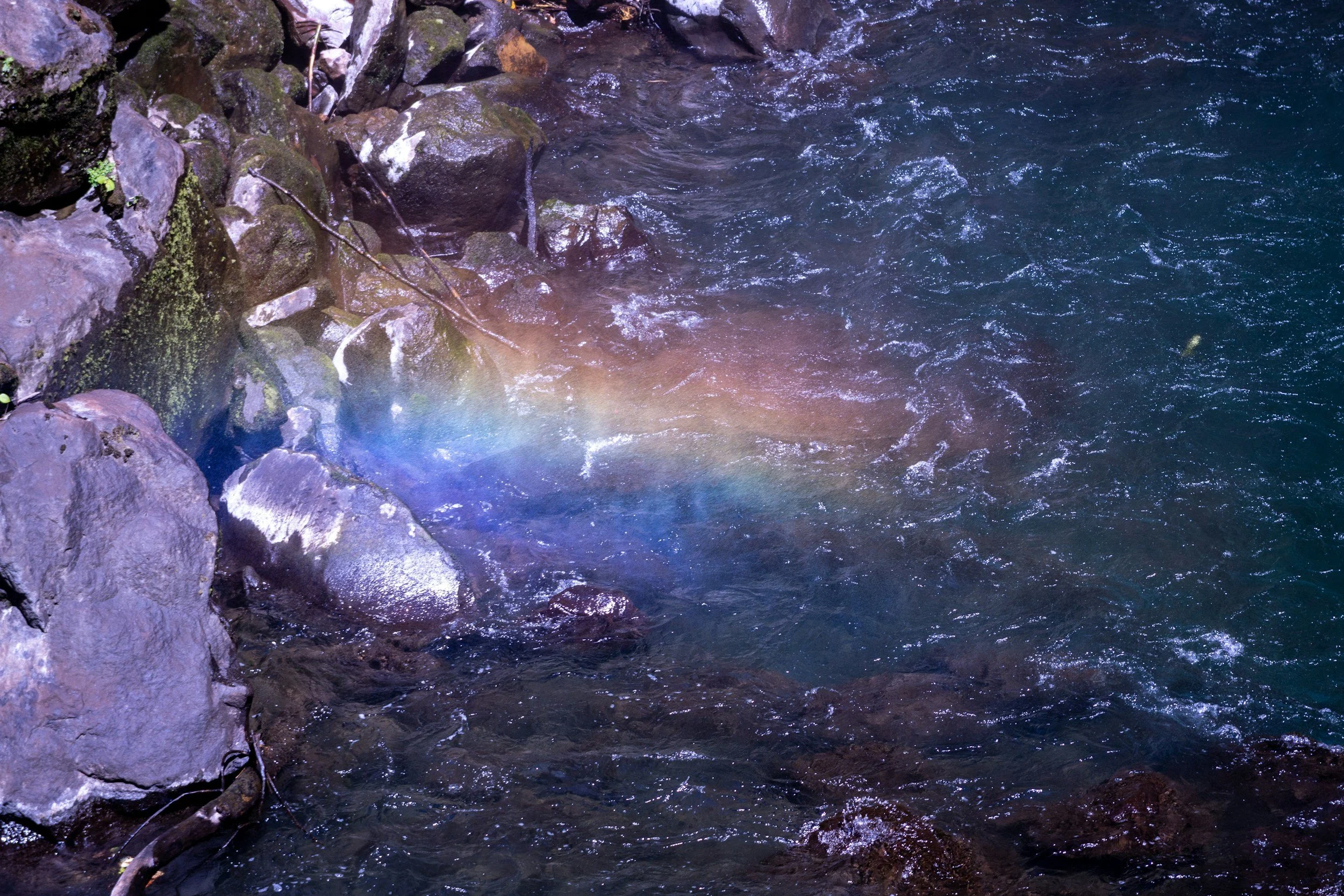 a rainbow forms thru the Sarapiquí river mist