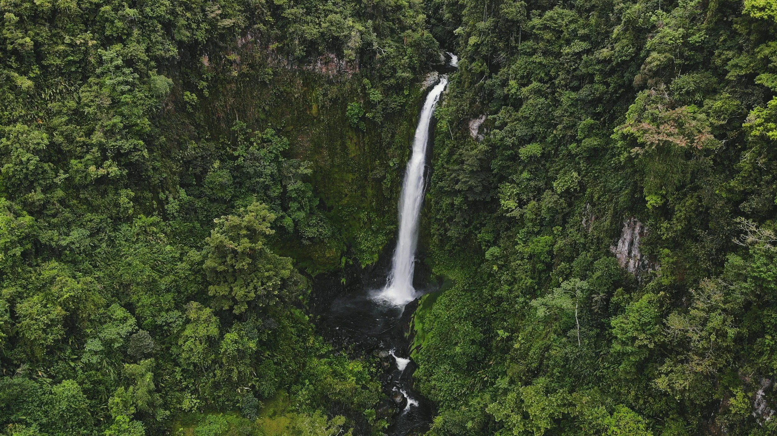 A waterfall cascades through the dense jungle.