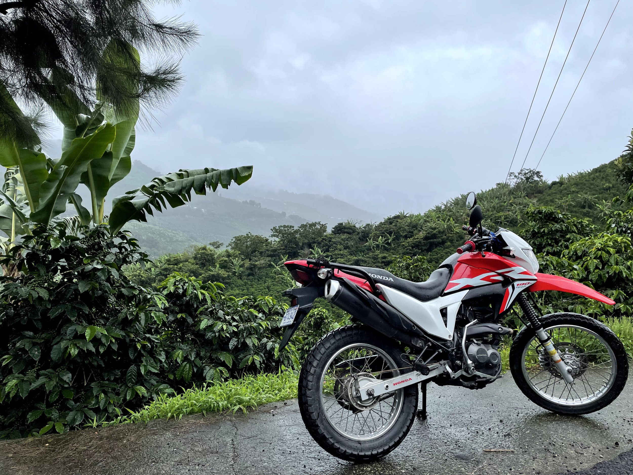 Misty motorcycle in the coffee region of costa rica