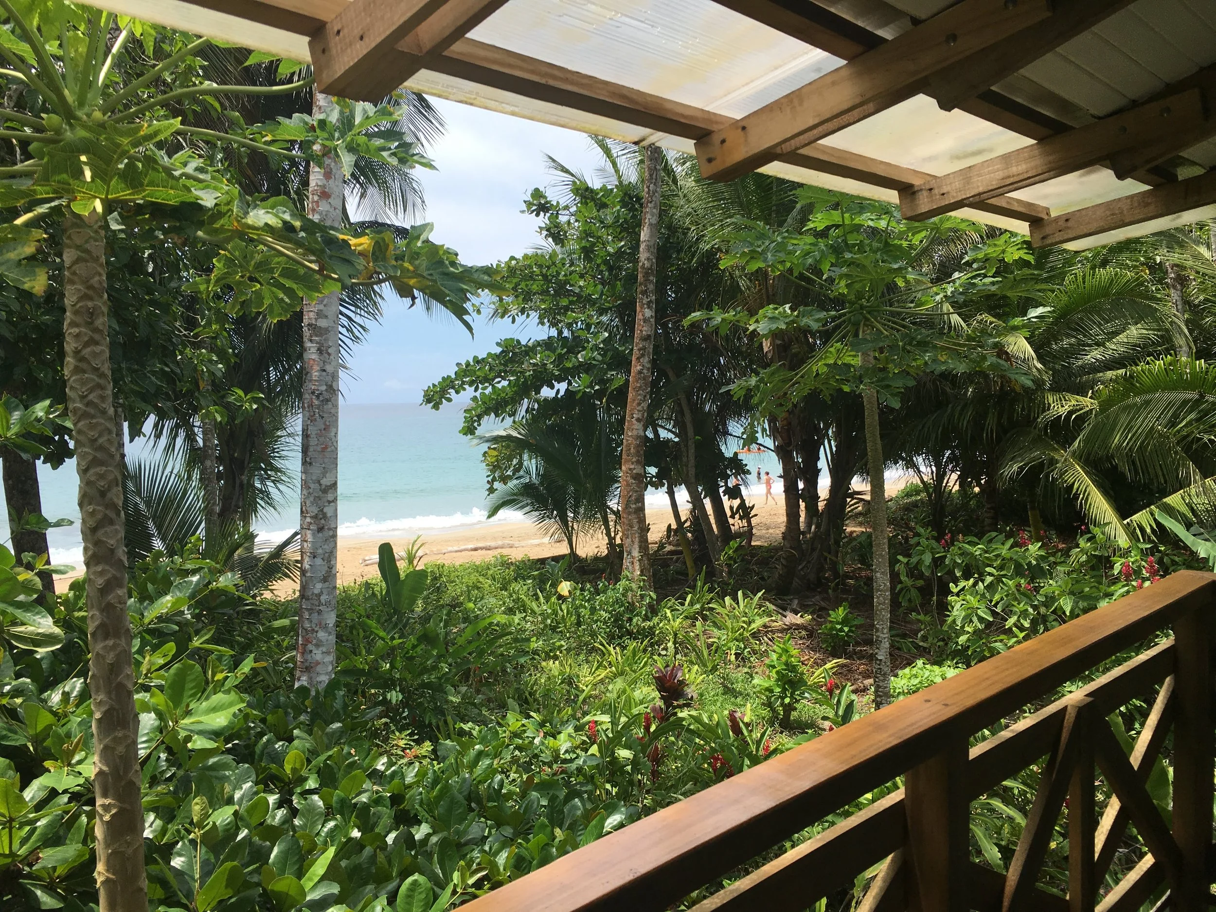 enjoying coffee next from our beachside porch in Punta Uva