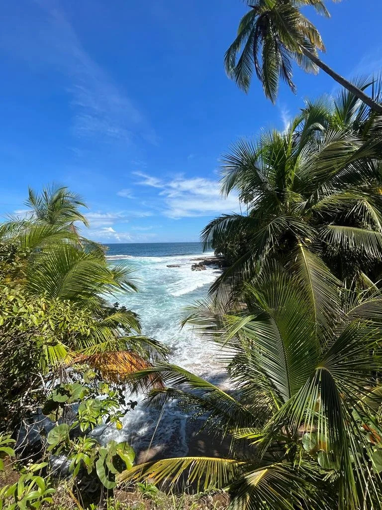 Caribbean Coast in September on a Sunny day