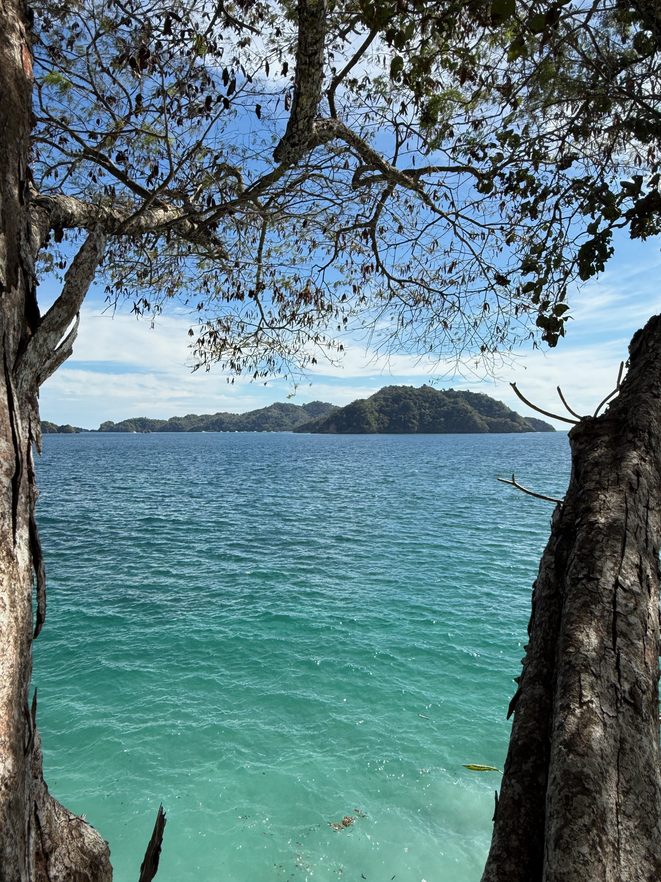 Isla Tortuga at a distance from Quesera Beach.png