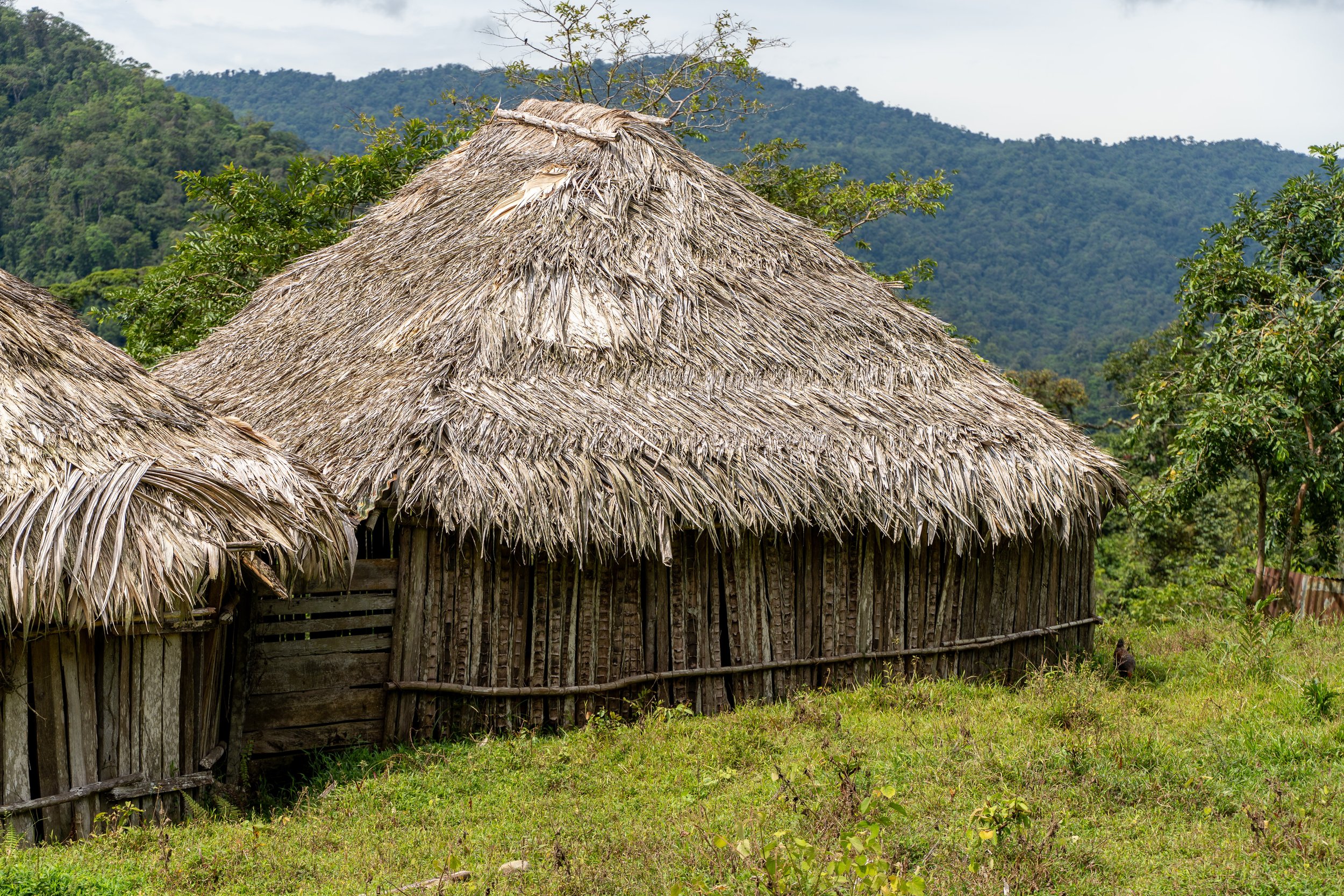 The hut of indigenous bribri people in Limon Costa Rica