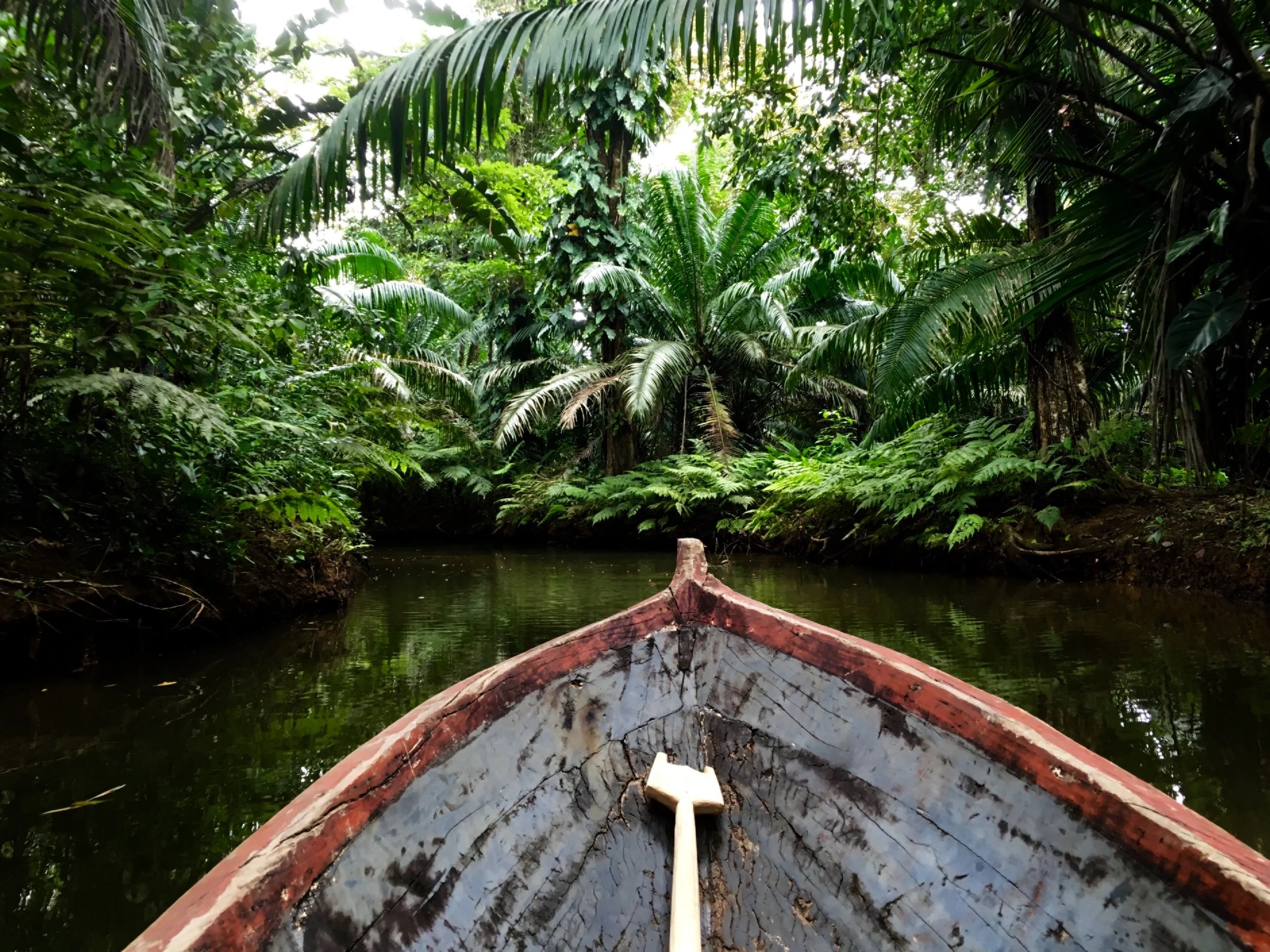 Traditional dugout Canoe on the Yorkin Cultural Experience tour