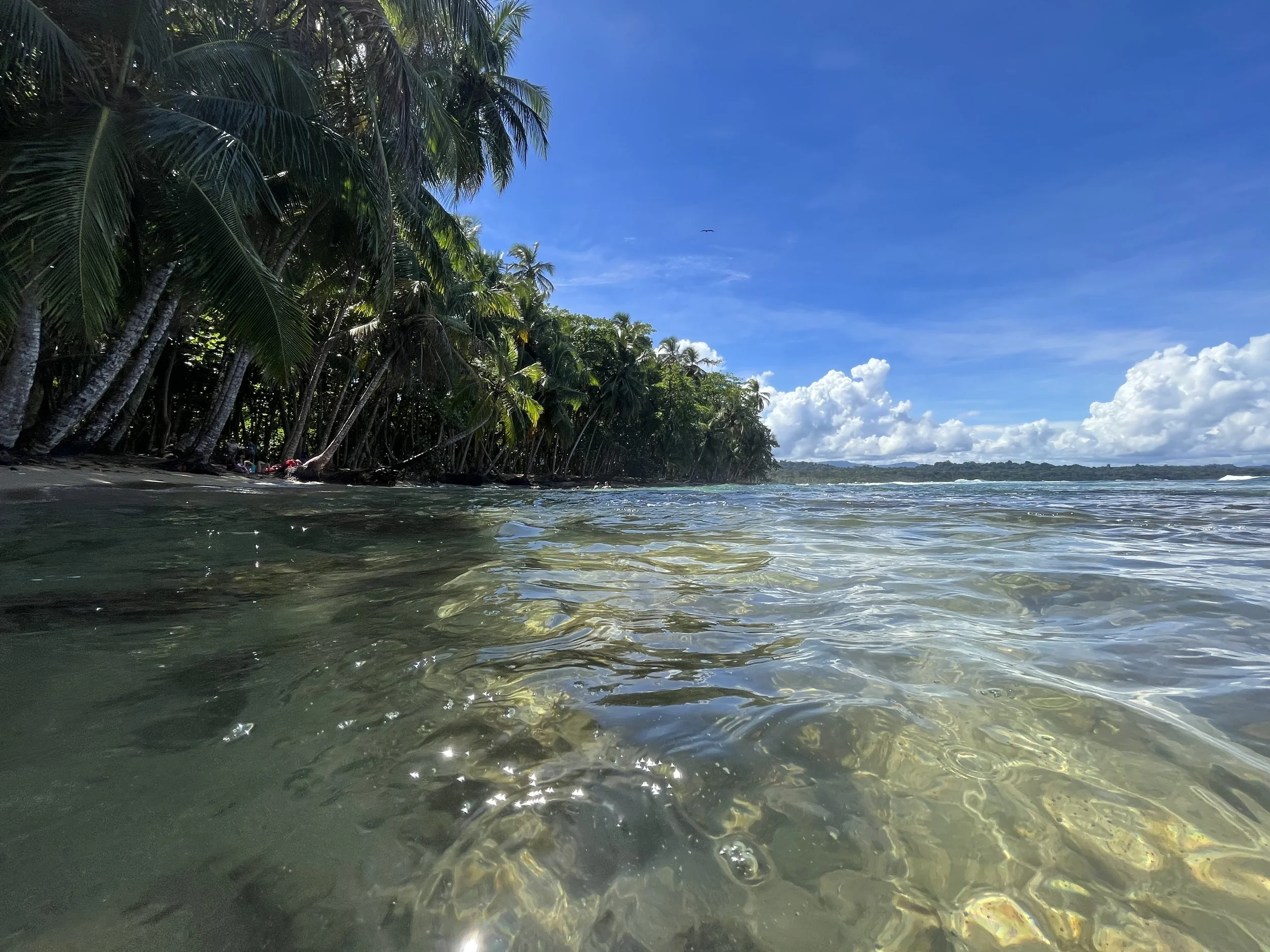 pristine caribbean waters in Manzanillo National Park