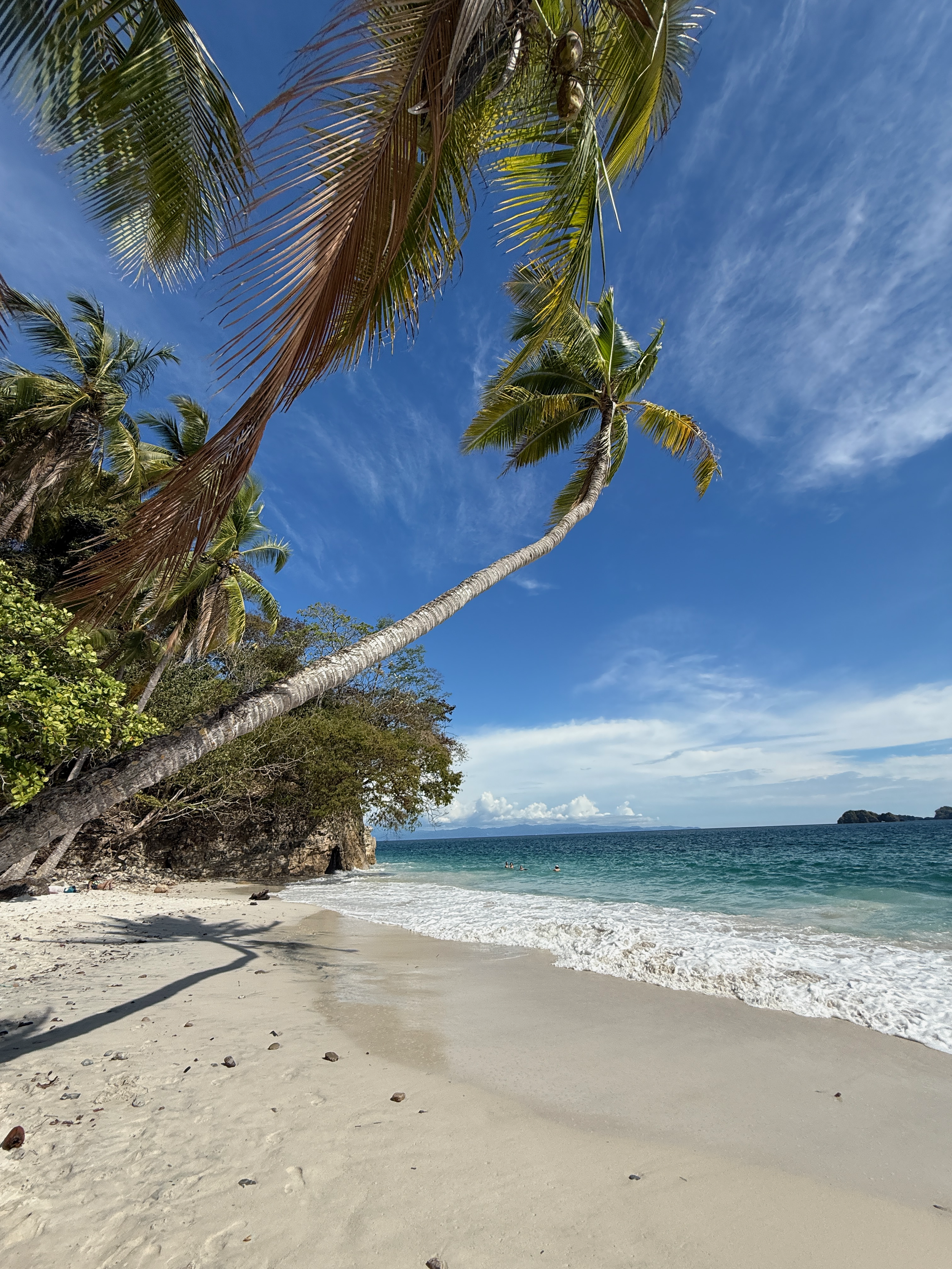 Playa Quesera's White Sand and Turquiose Water with swaying palm trees