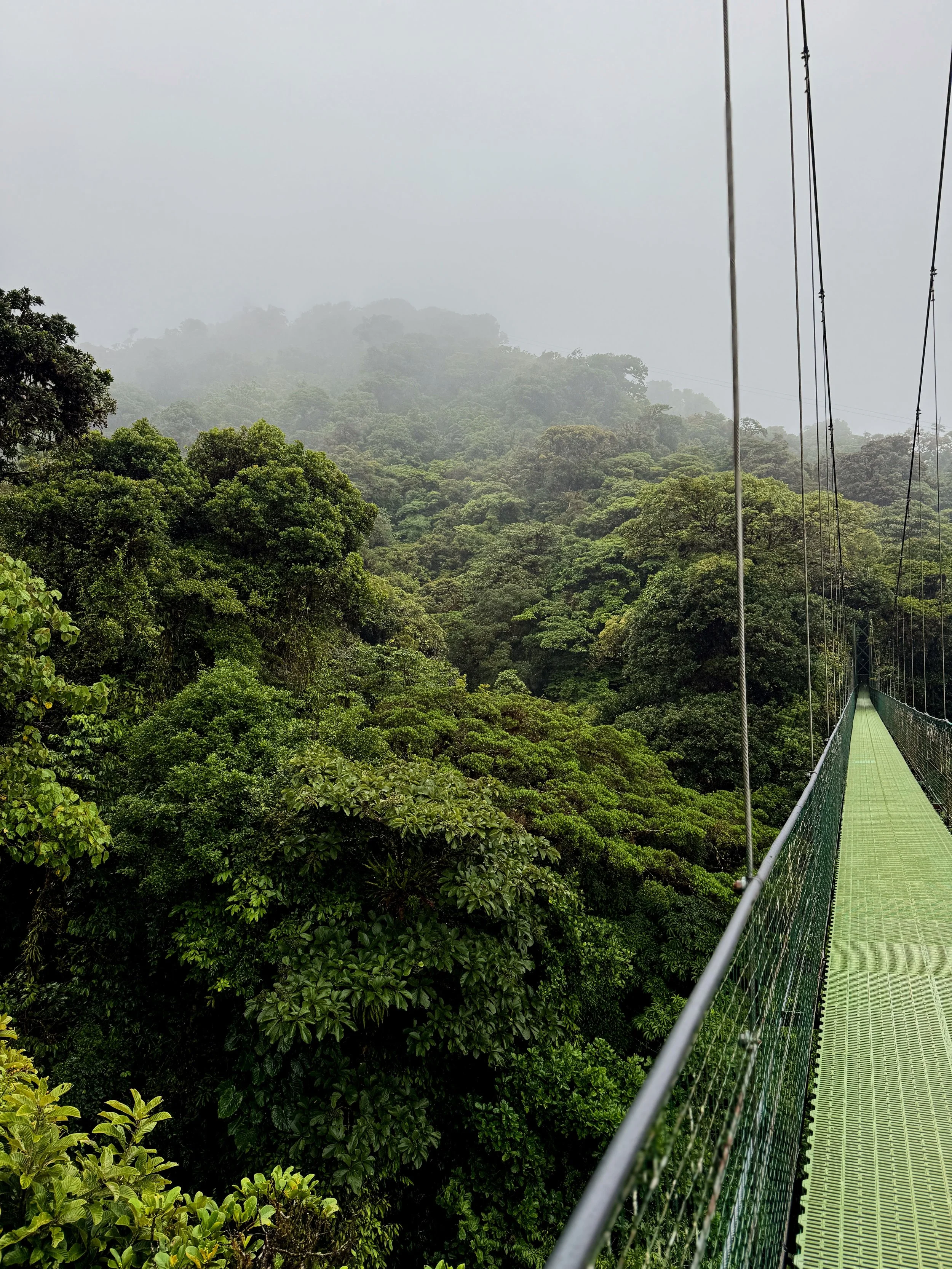 longest hanging bridge in Monteverde Costa Rica